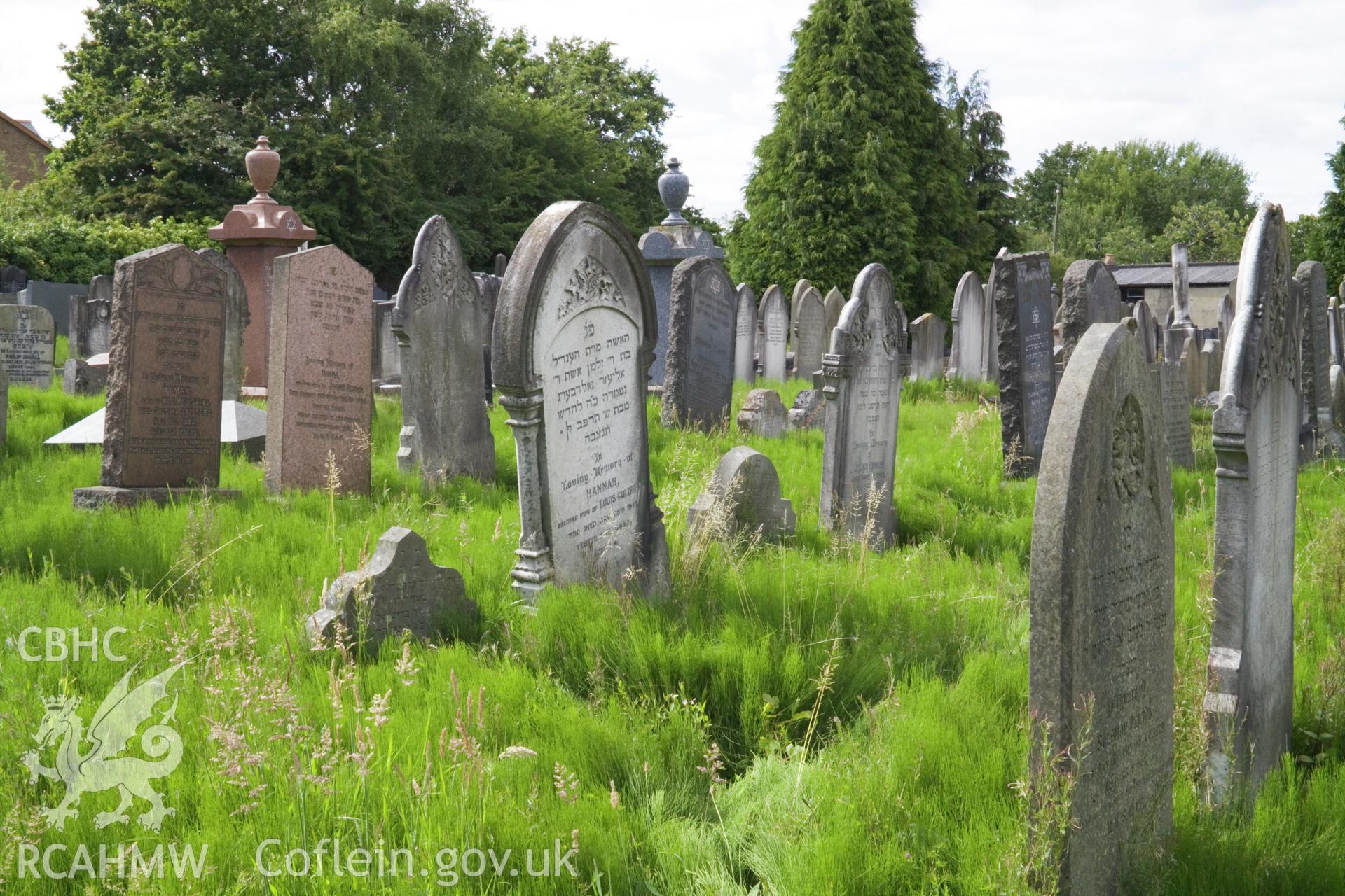 Views in graveyard.