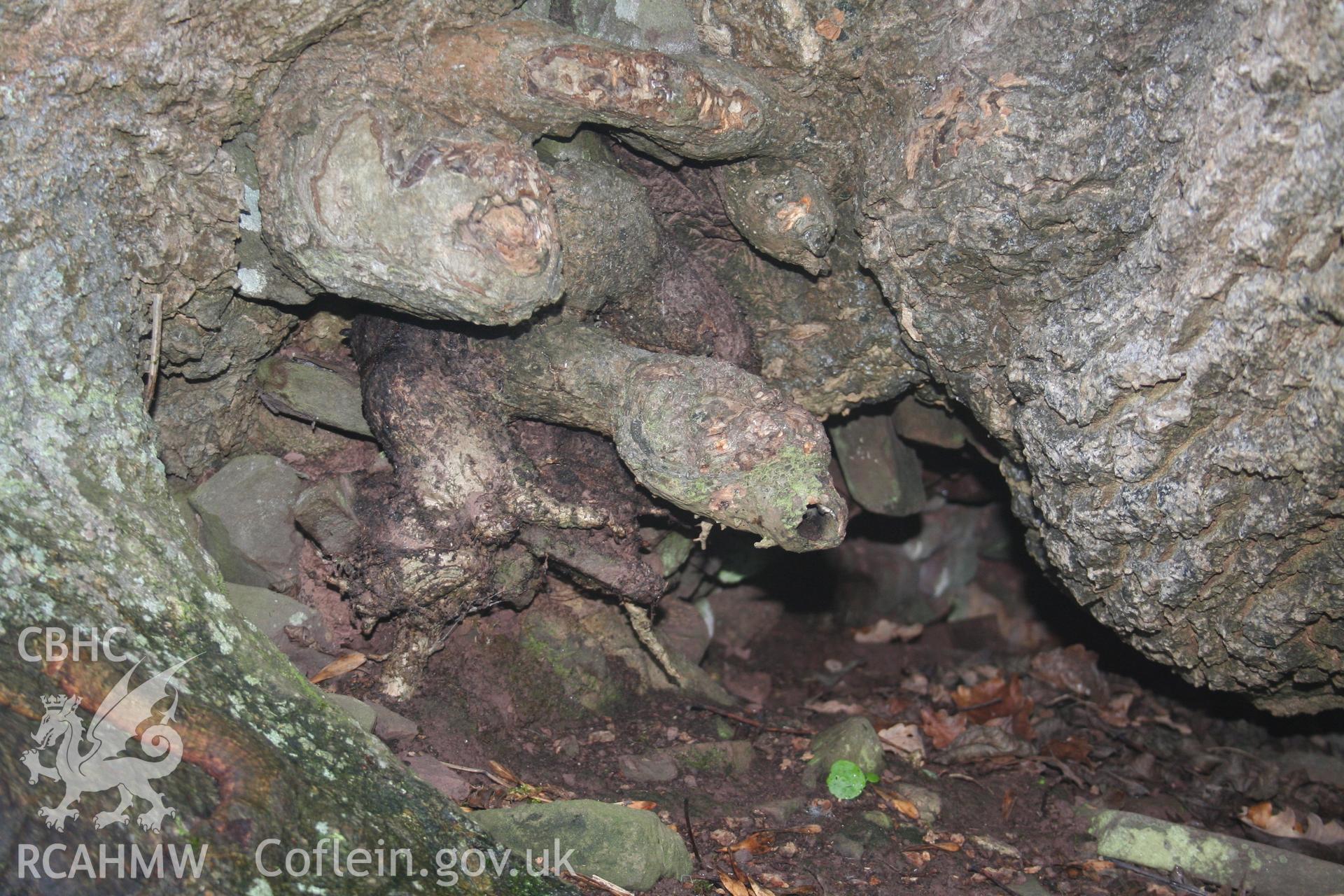 Digital photographic survey of Coed y Gaer Bread Oven, consisting of one colour image, by David Leighton, 18/12/2006
