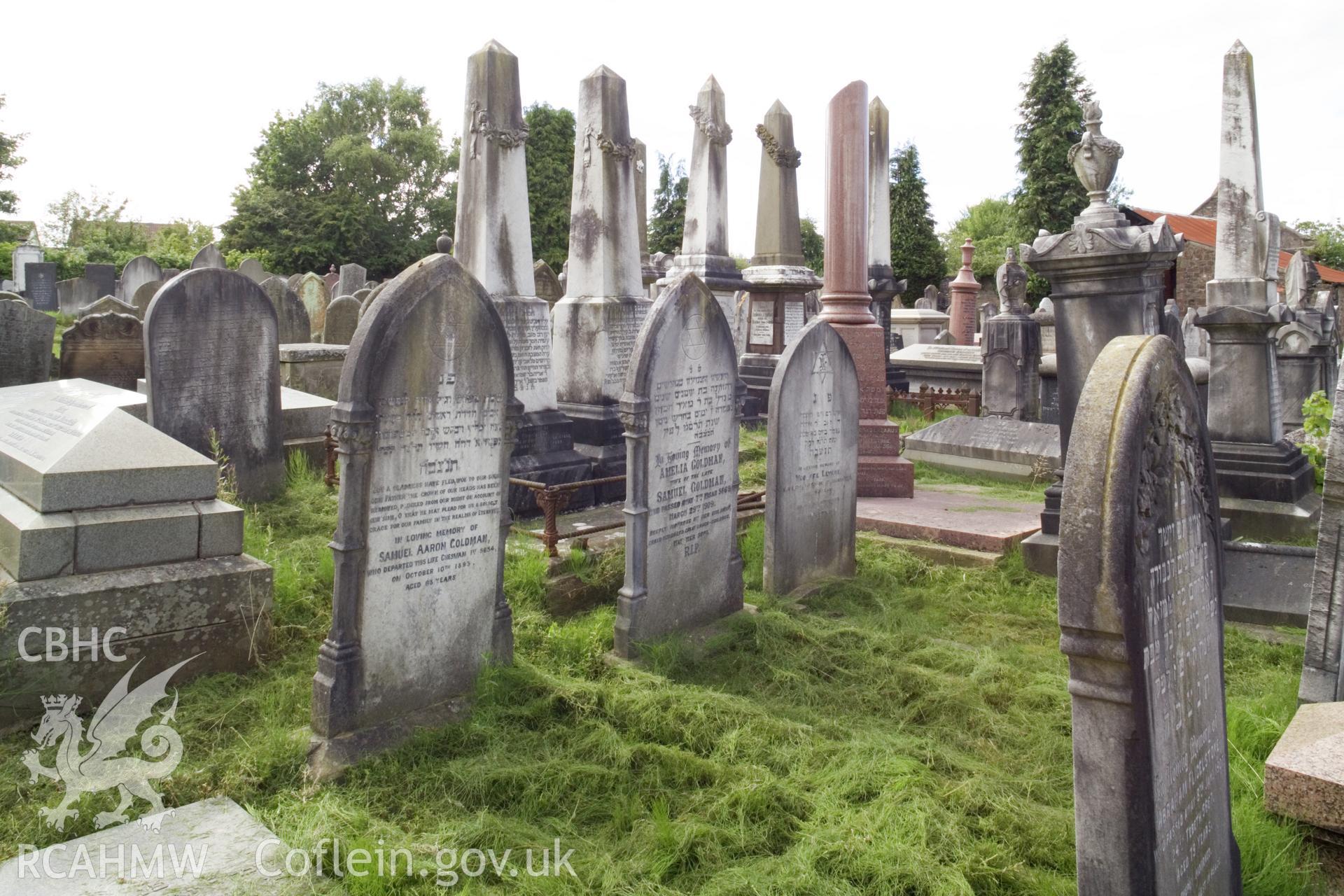 Views in graveyard.