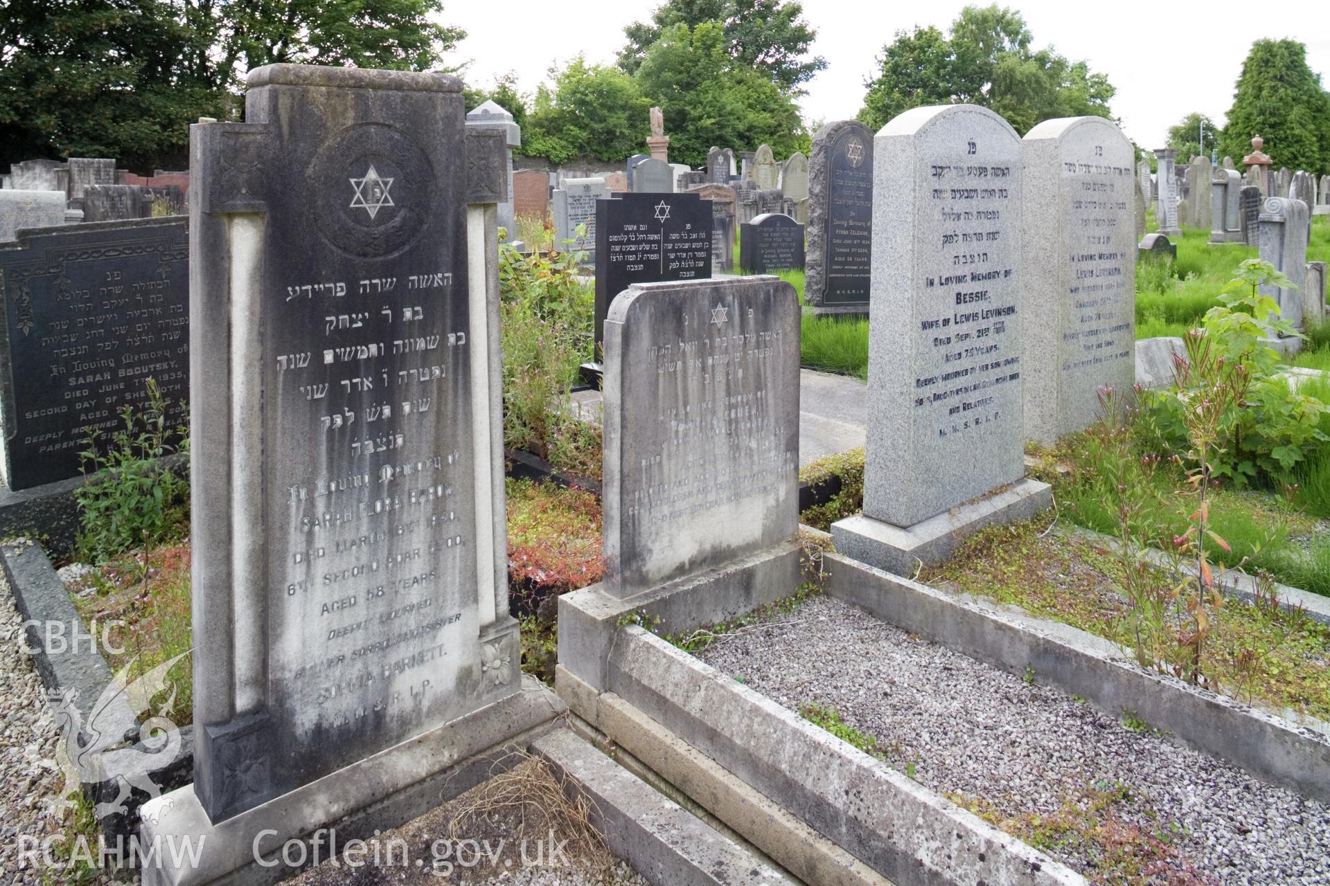 Views in graveyard.