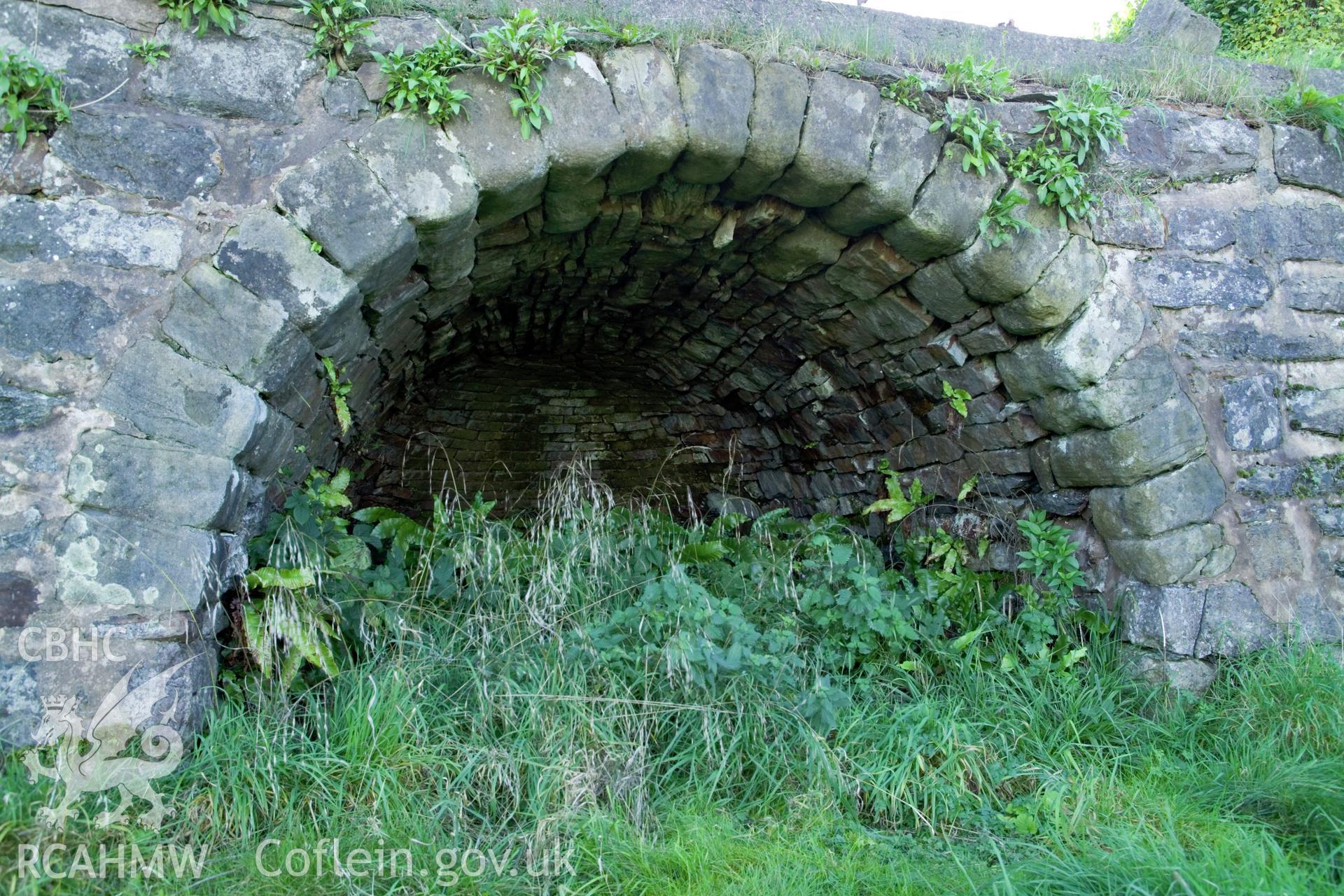 Detail of limekiln arch.