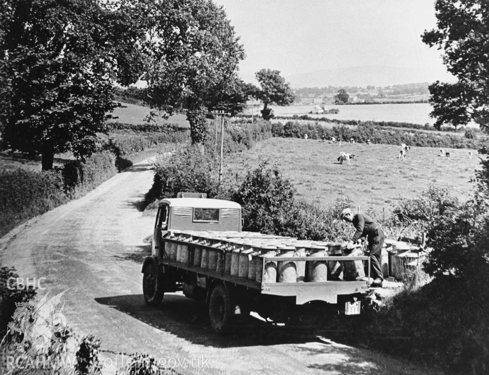 Copy of a pre-1950 photo showing milk churn collection from a roadside stand