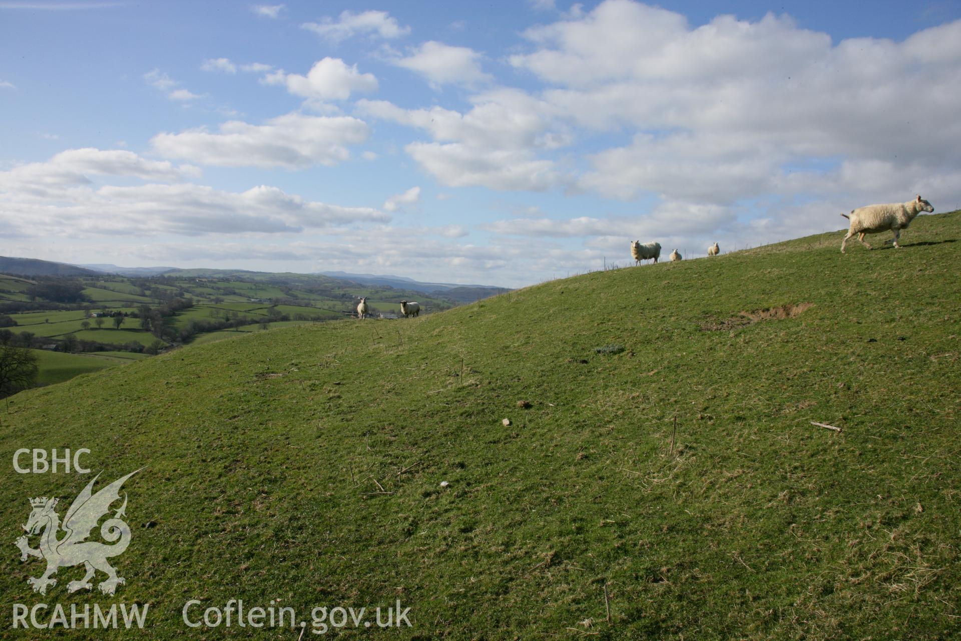 Pentre Camp: view of southern defences, looking west