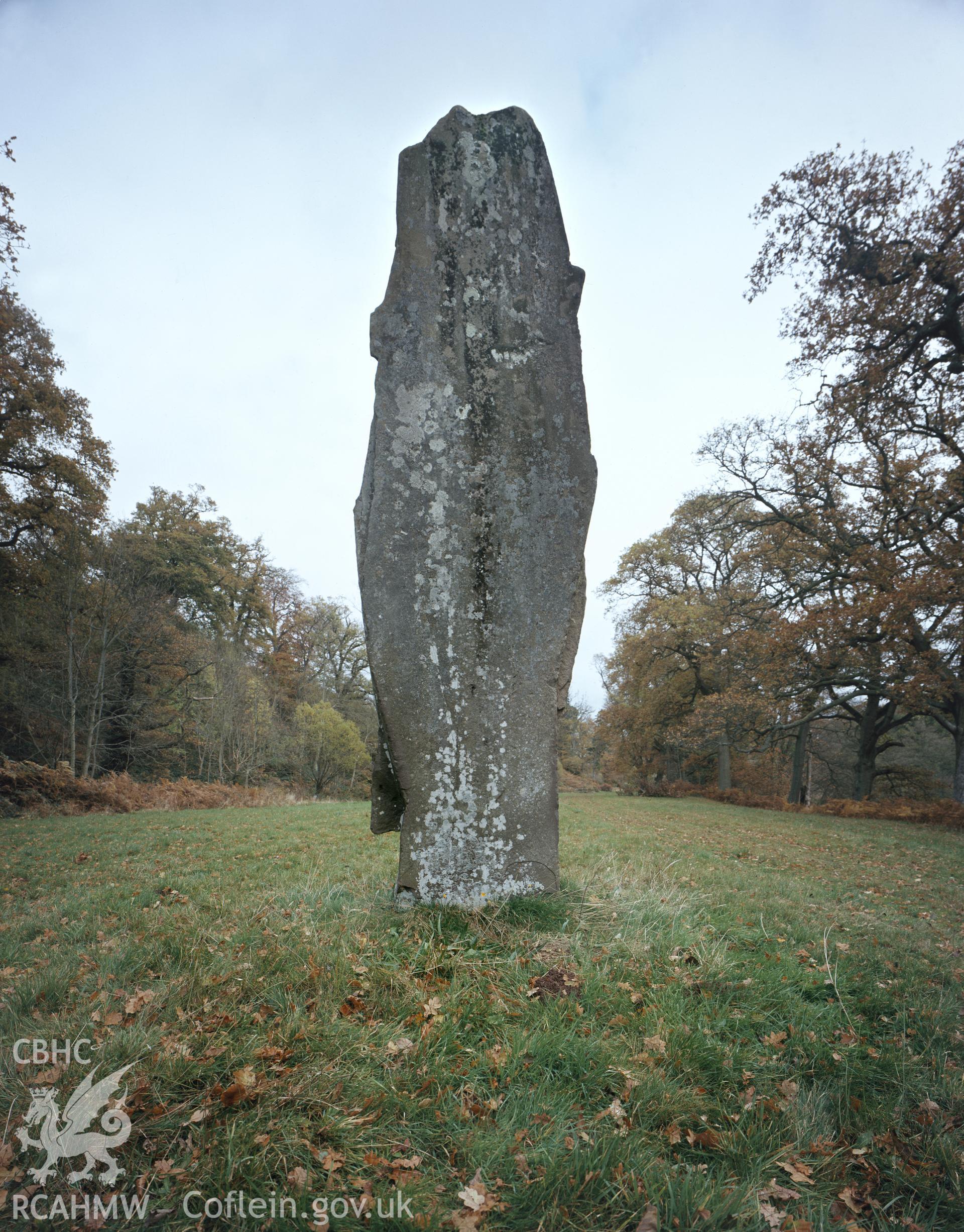RCAHMW colour transparency showing The Fish Stone, Penymyarth Park, undated.