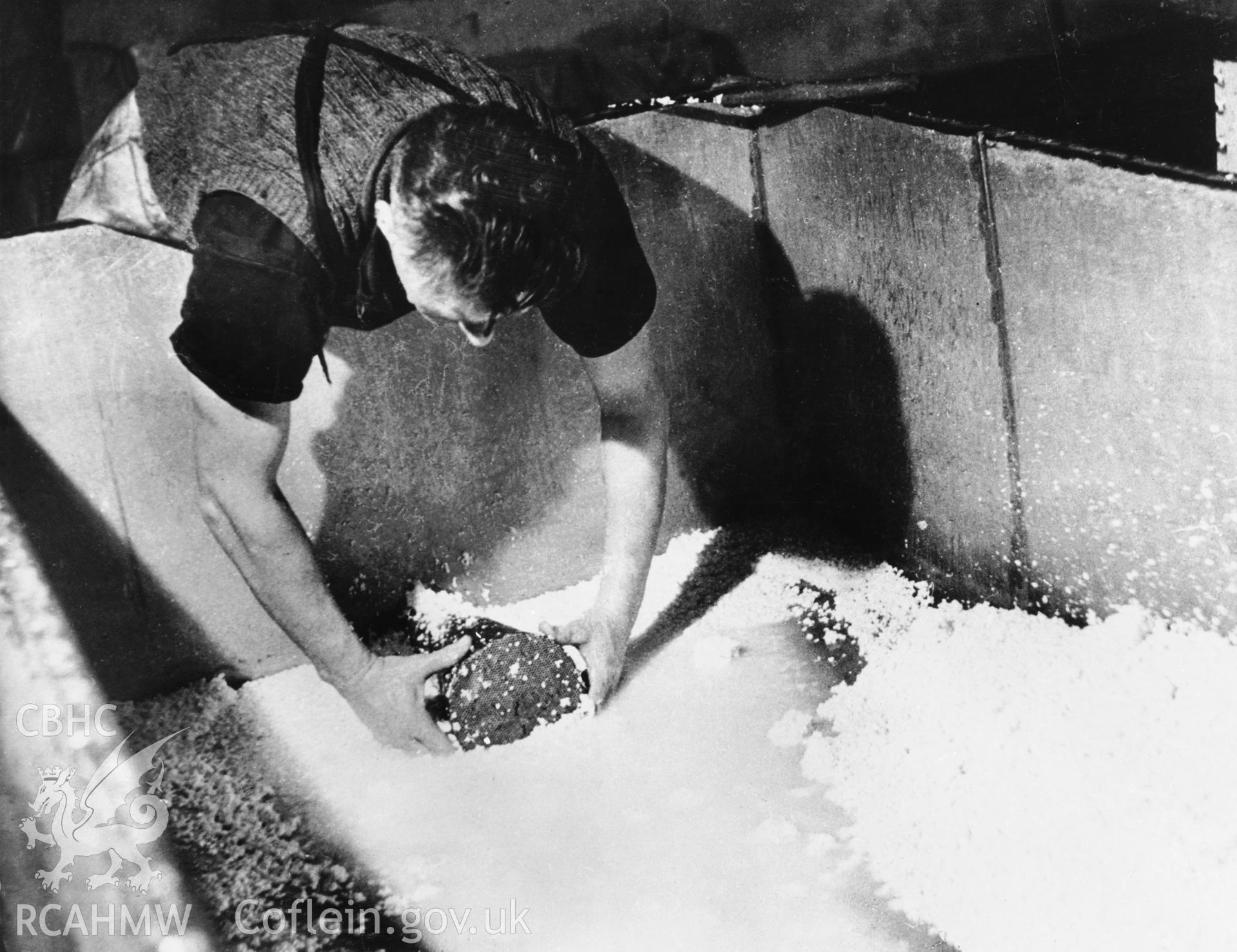 Copy of a pre-1950 photo showing  "pitching" the vat