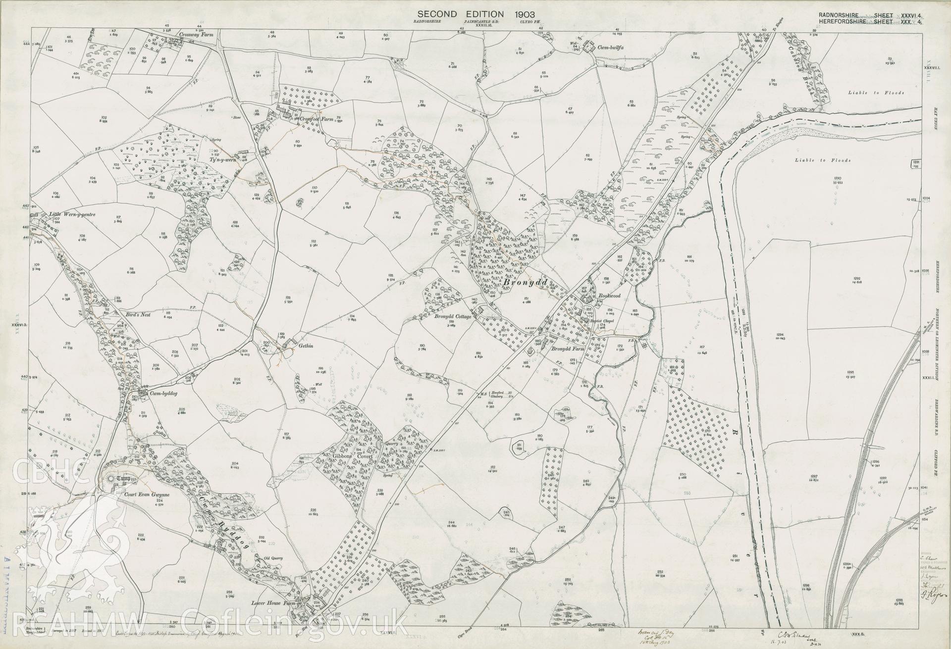 Digitized copy of Ordnance Survey 25 inch map of Bronydd area. Second Edition 1903.