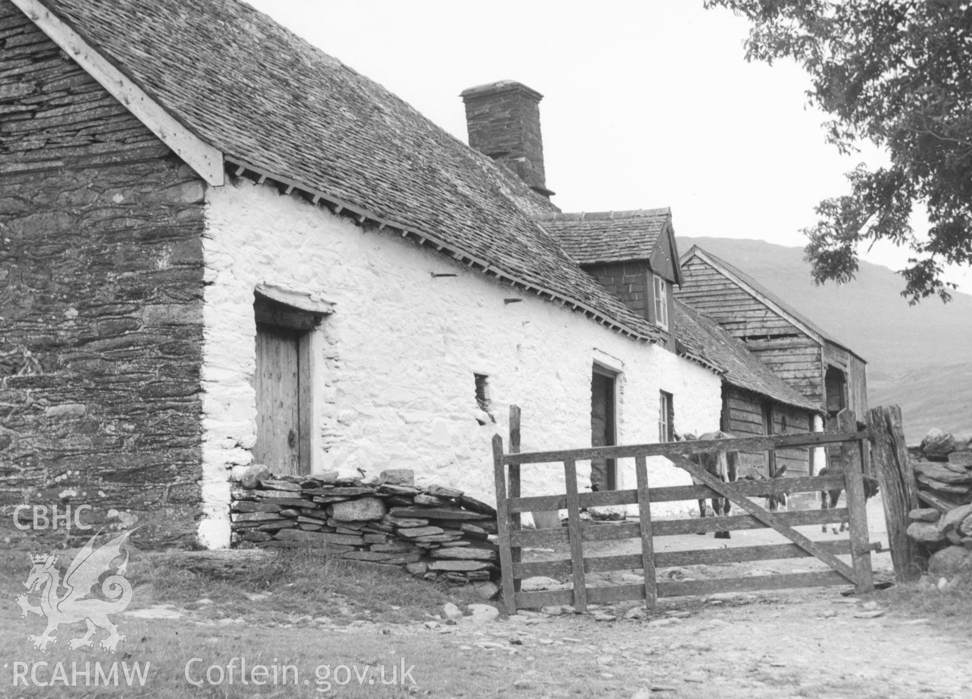 View of Ciloerwynt taken  in 1954 by Miss M. Wight.