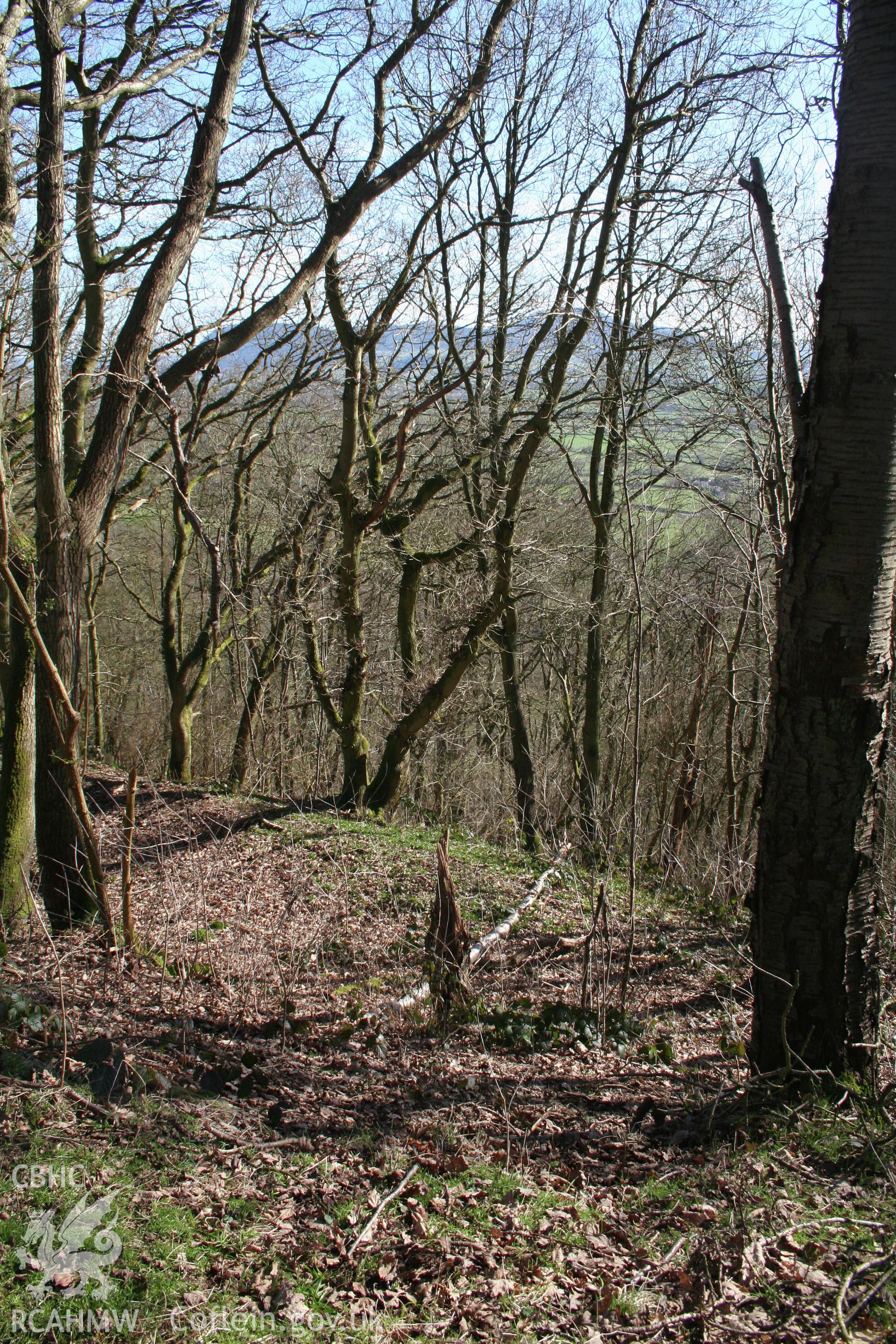 Gaer Fawr Hillfort. Looking northeast over the eastern ramparts from the interior of the fort. The Breidden Hills are in the far distance.