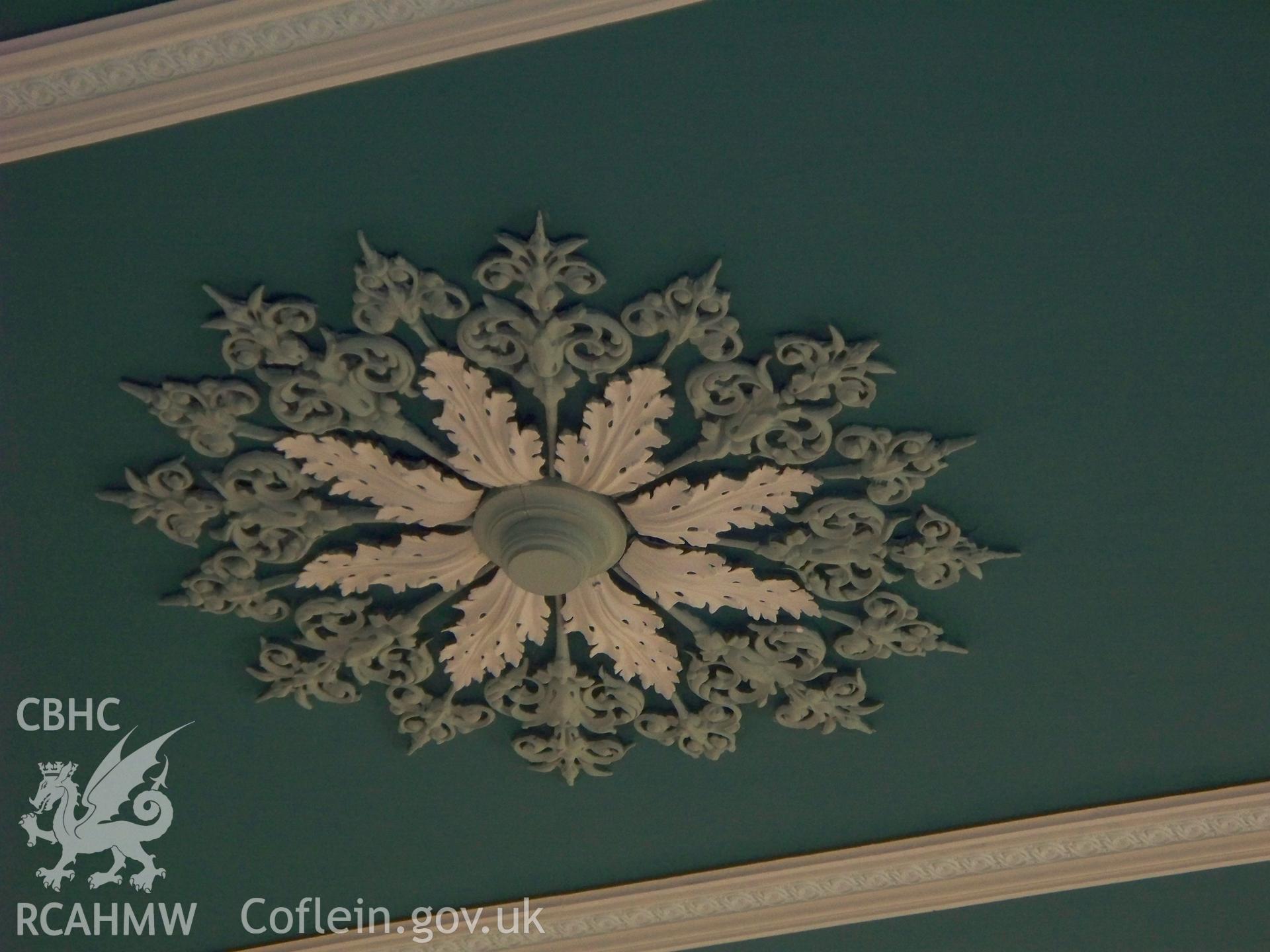 Ceiling rose.
