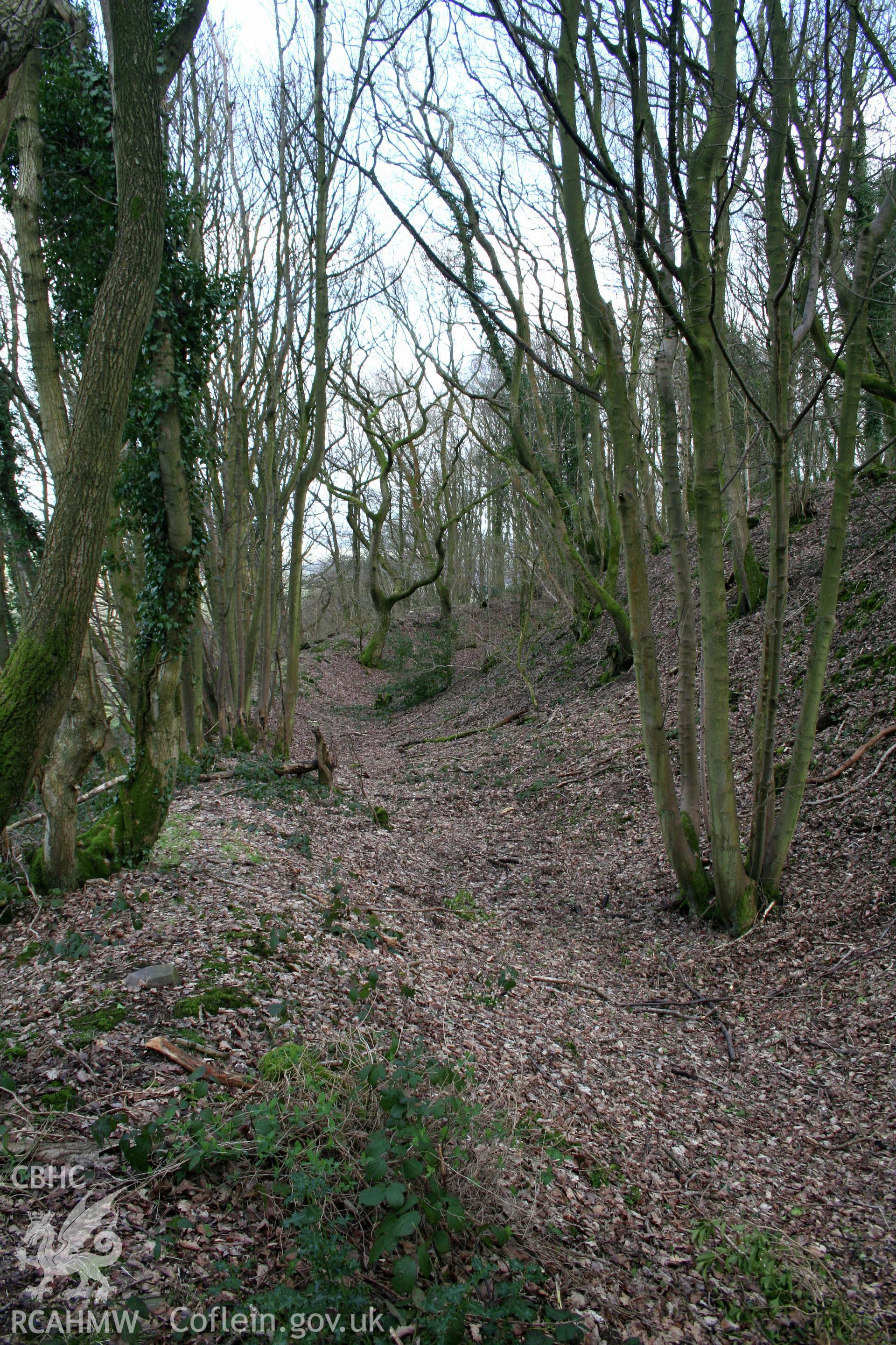 Gaer Fawr Hillfort. Looking north along the ditch of the western ramparts.