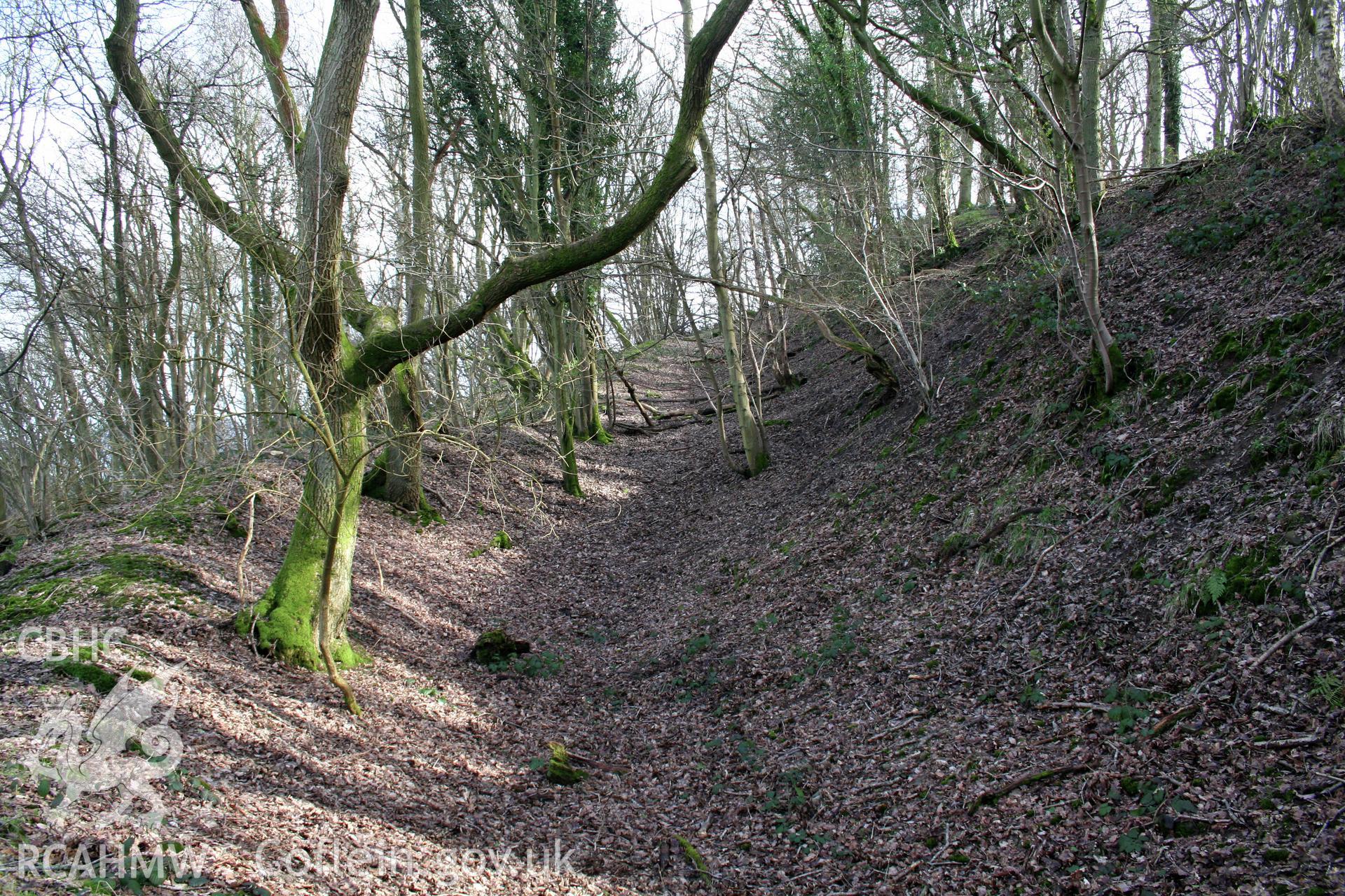 Gaer Fawr Hillfort. Looking north along the ditch of the western ramparts.
