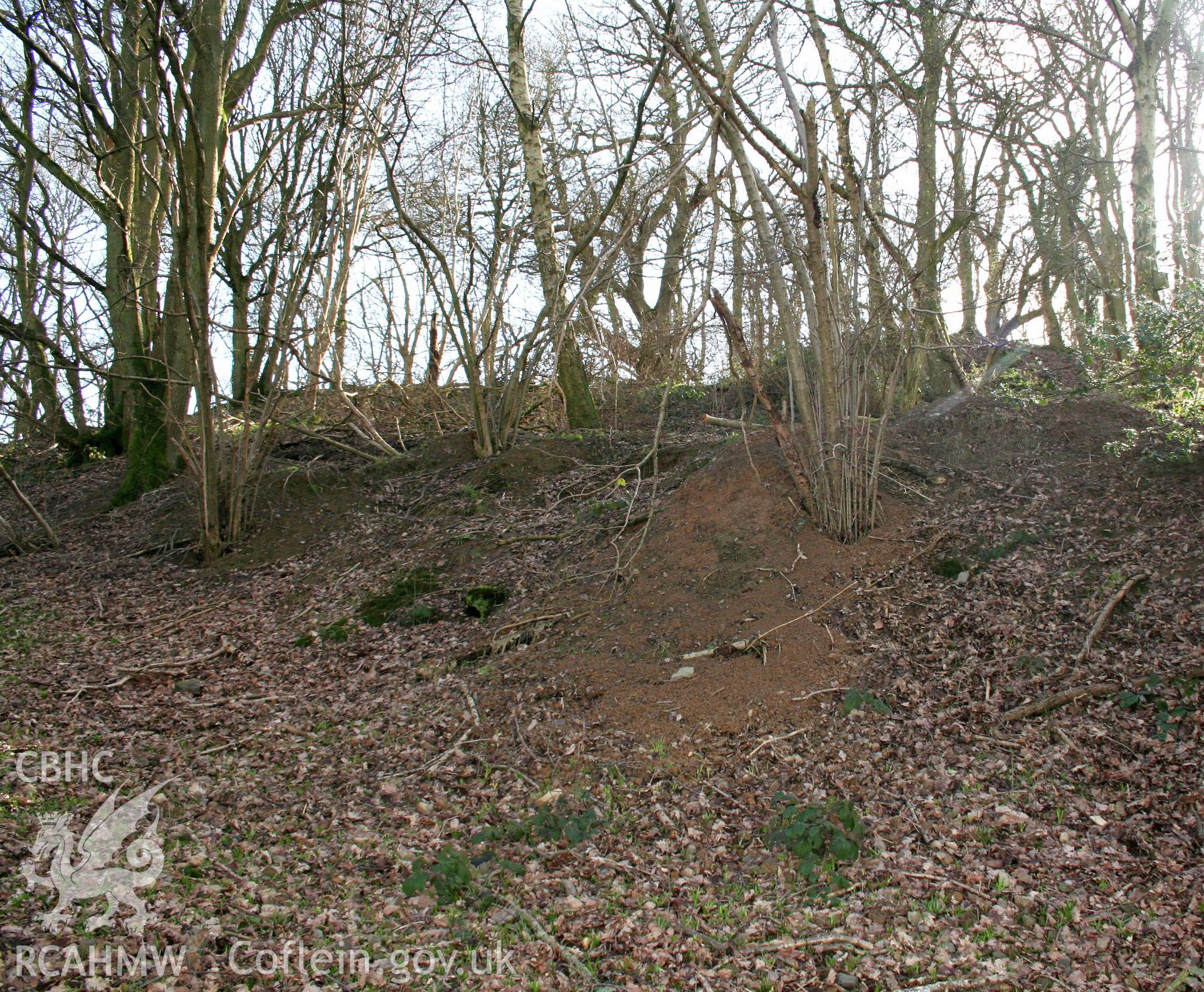 Gaer Fawr Hillfort.  Badger damage to ramparts on north side of fort, from the northwest.
