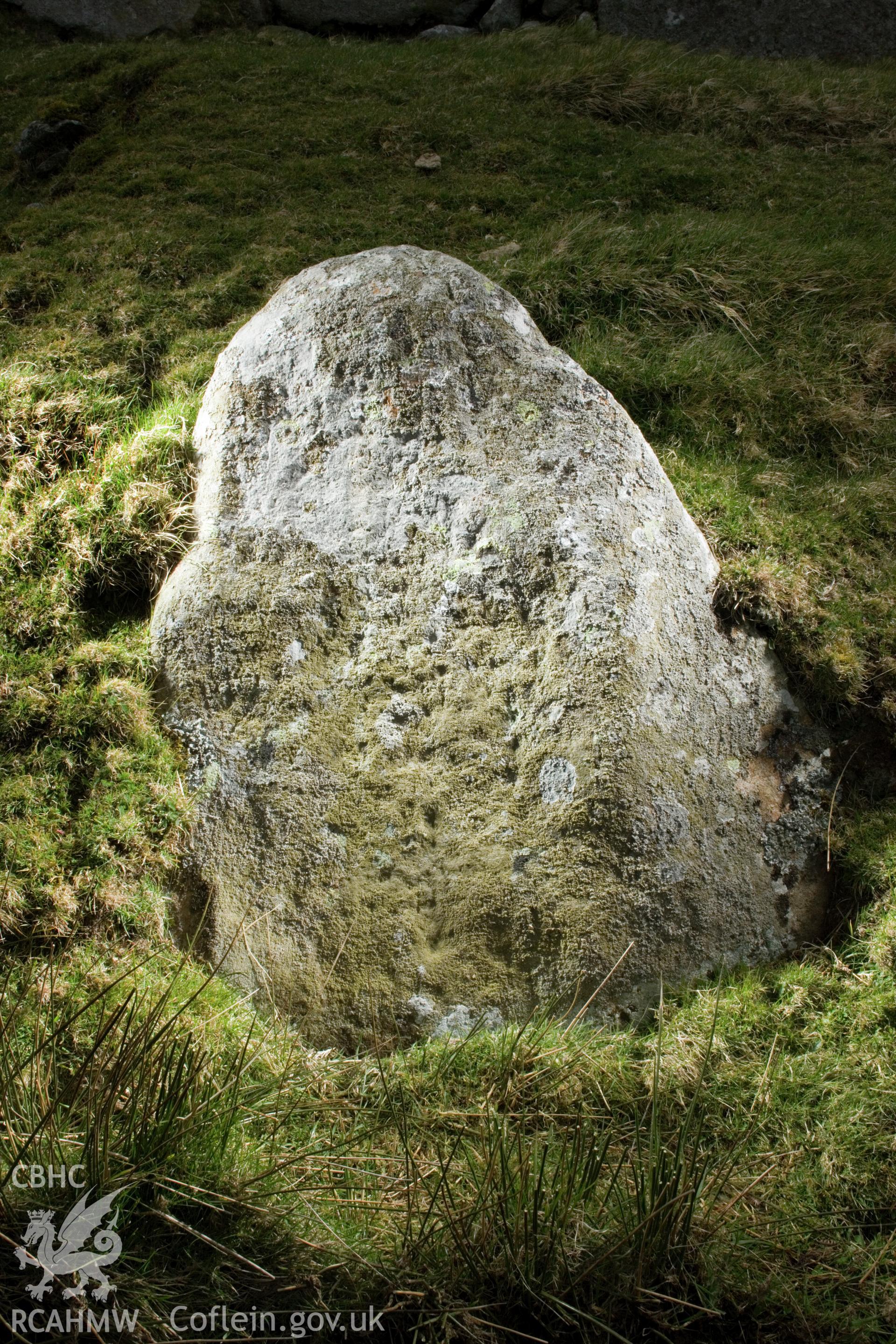 Cross carved stone (visible in middle of face, just below centre; taking up a third of the face).