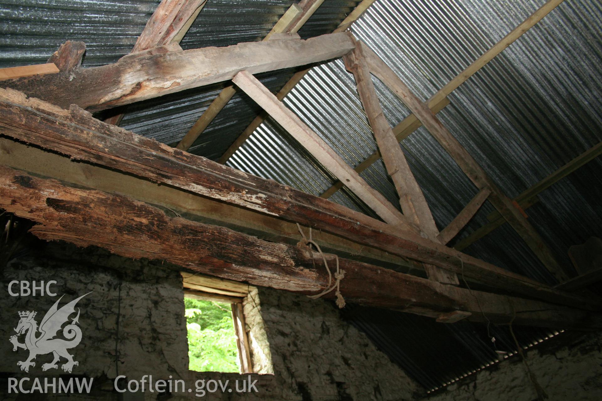 Interior view of loose-box roof trusses.