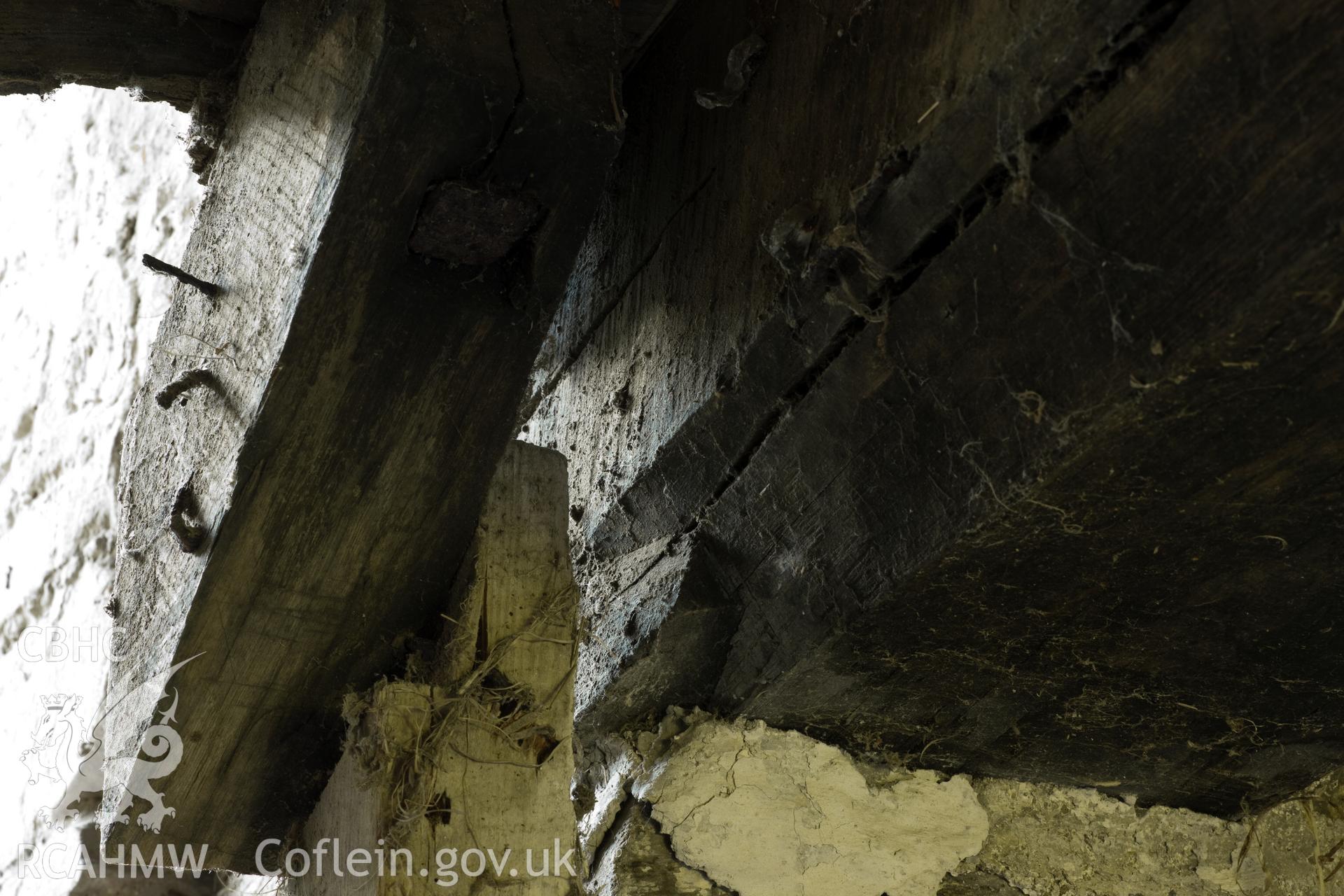 Carved stop on beam over kitchen.