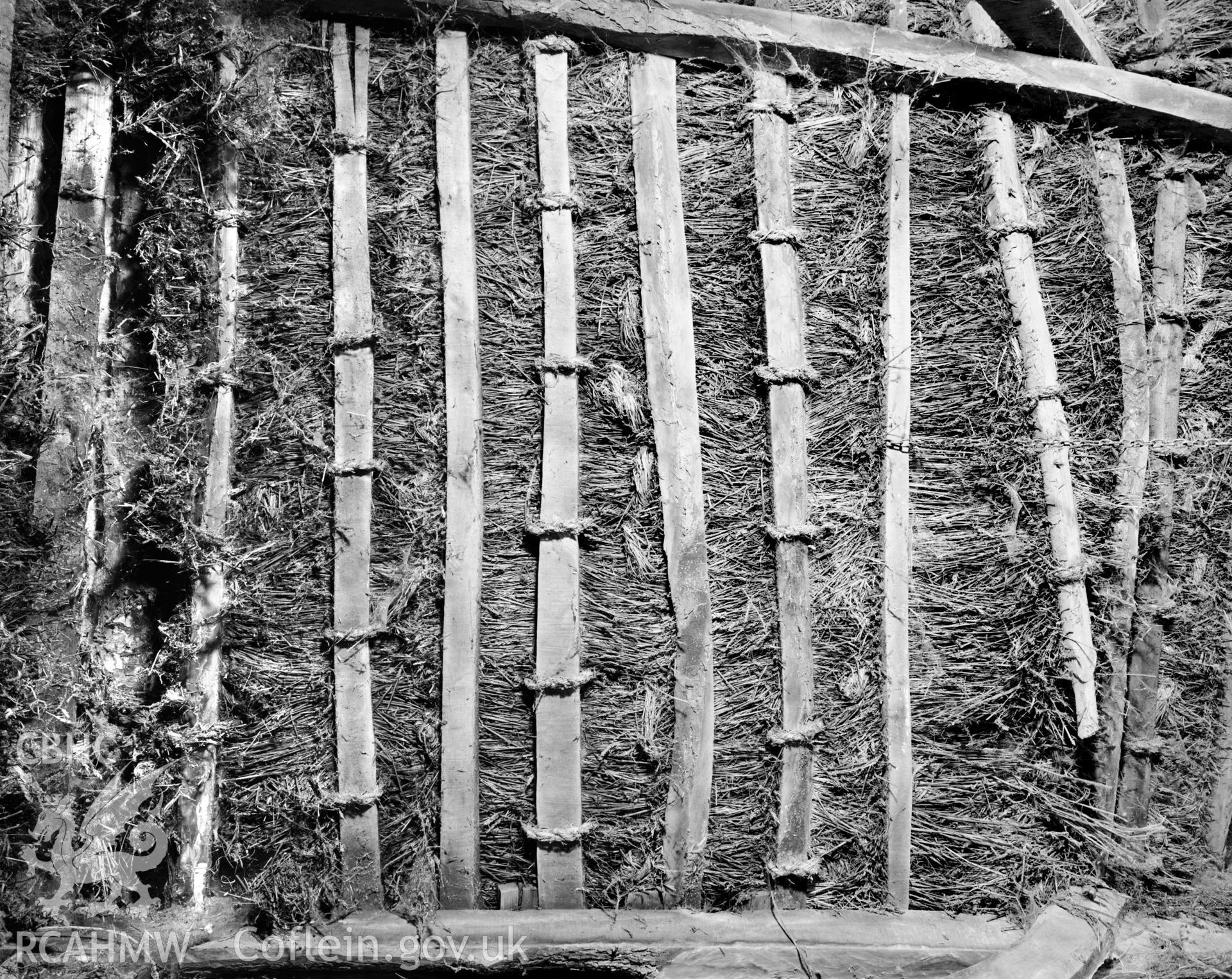 Digitized copy of a negative showing thatch detail at Cobbler's Cottage, Abercych taken by Iain Wright, 1997