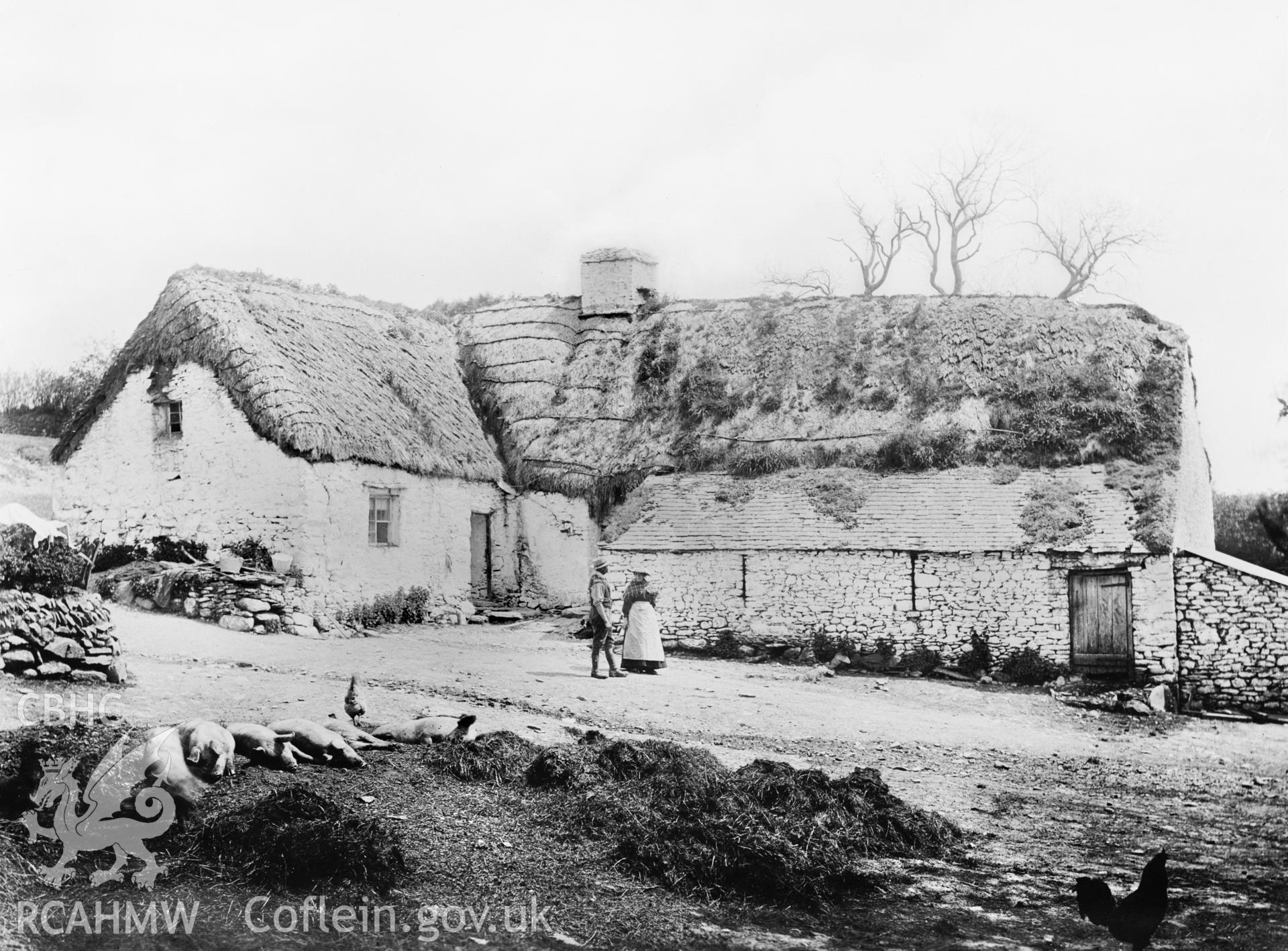 A black and white print from the Ministry of Works collection showing Llwyn Rhys, Llangeitho.
