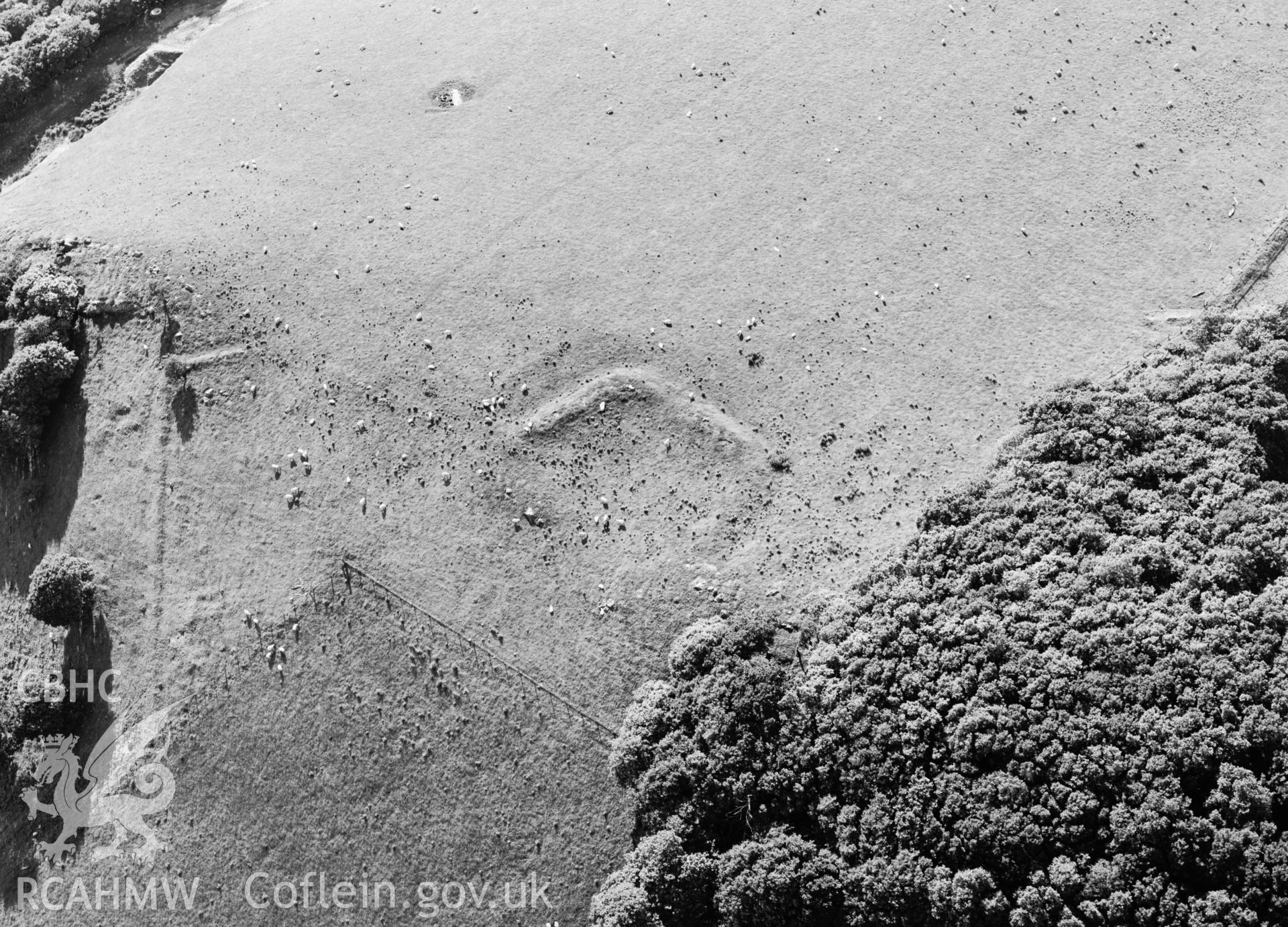 RCAHMW Black and white oblique aerial photograph of Coed Ty-mawr Enclosure, Llanafanfawr, taken on 19/06/1998 by Toby Driver