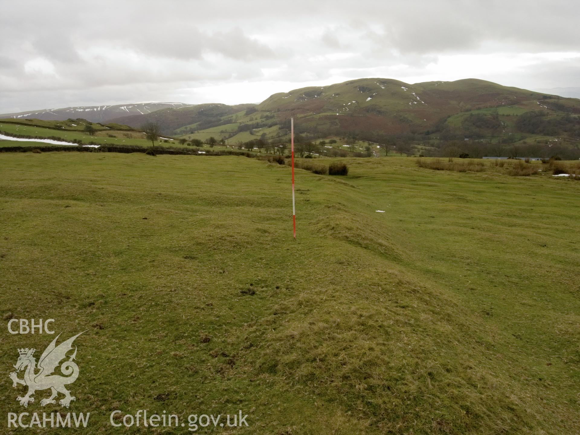 view looking S of bank on W side of enclosure.