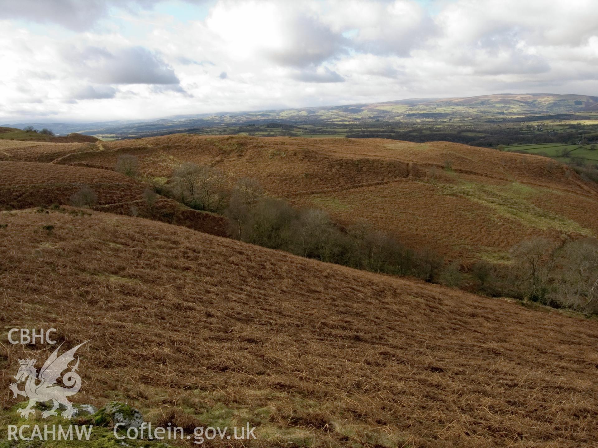view looking W of N end of enclosures, with curved bank of earlier enclosure (509742) on left.