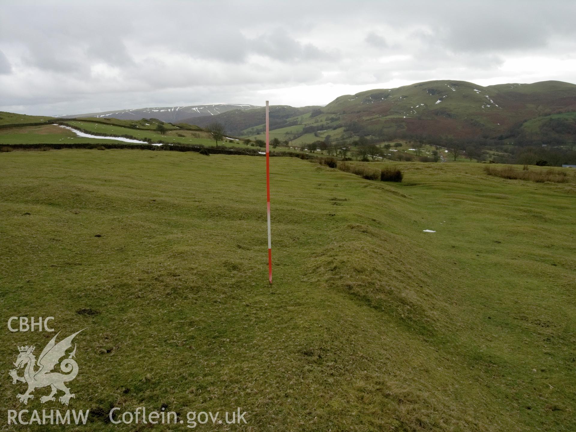 view looking S of bank on W side of enclosure.