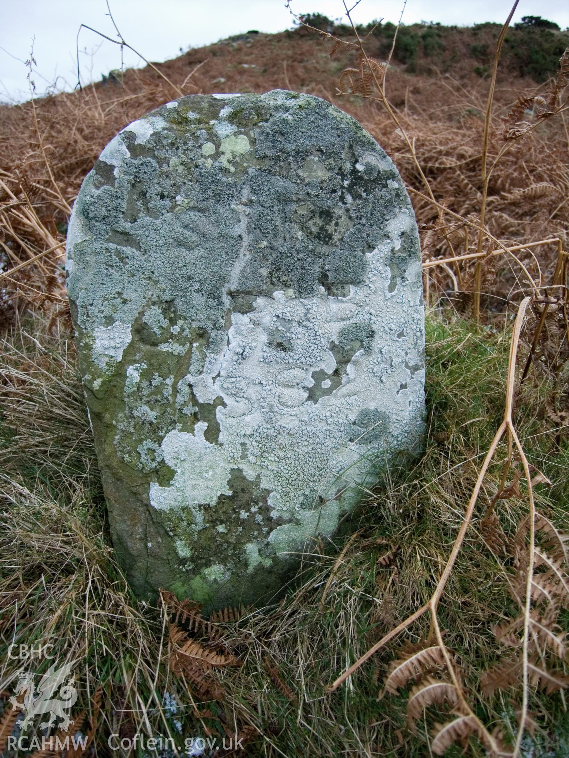 view of W face showing weathered inscription.