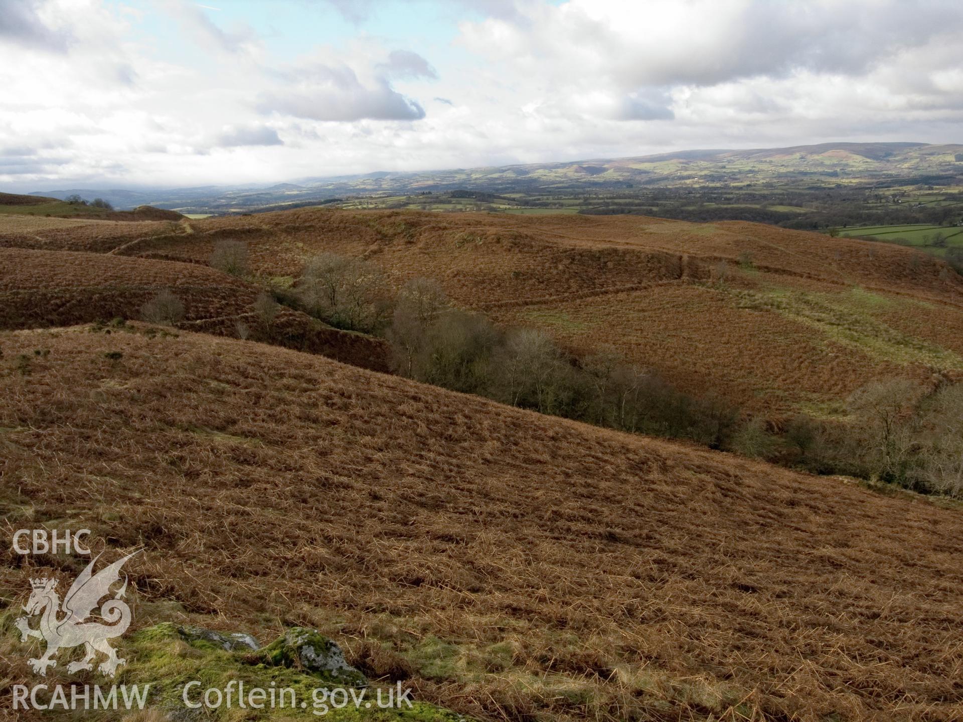 view looking W of N end of enclosures, with curved bank of earlier enclosure (509742) on left.