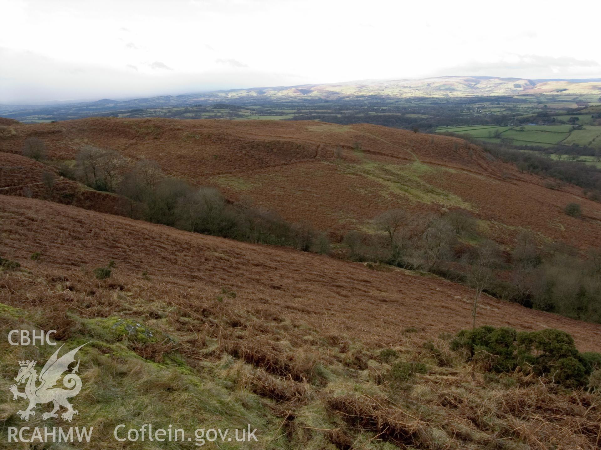 view looking W of N end of enclosures, with curved bank of earlier enclosure (509742) on left.