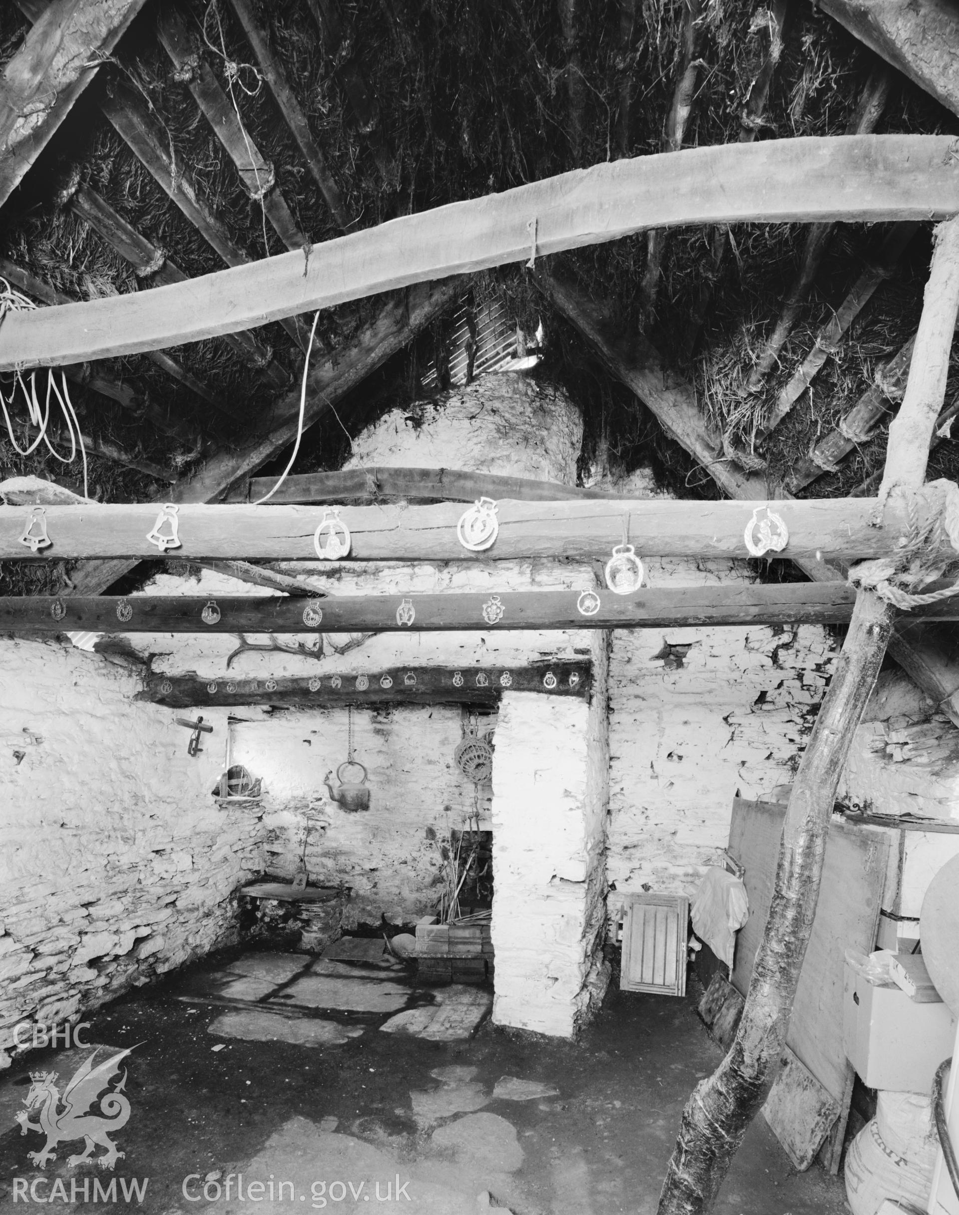 Digitized copy of a negative showing Cobbler's Cottage, Abercych taken by Iain Wright, 1997
