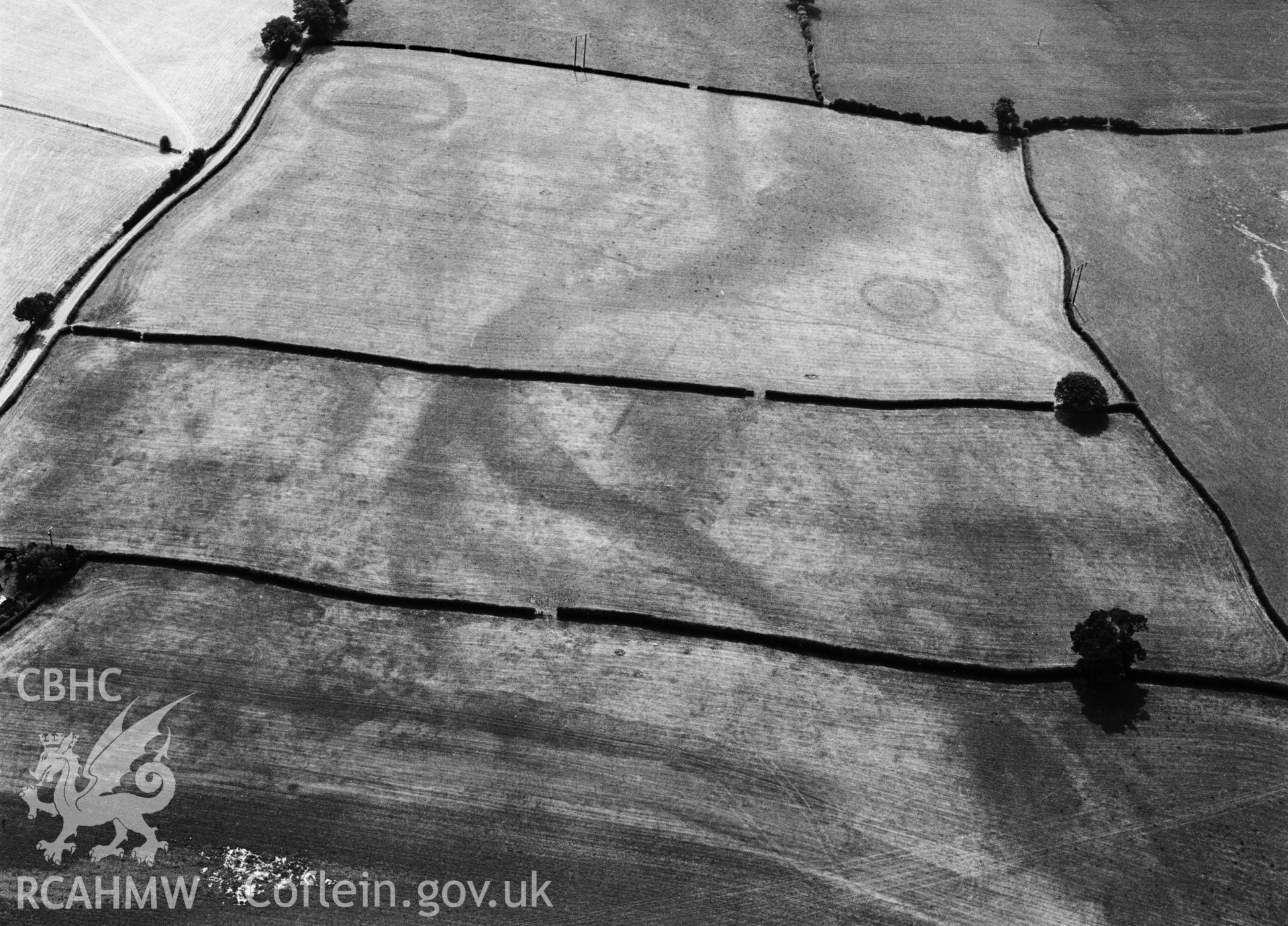 RCAHMW black and white oblique aerial photograph of Dyffryn Lane Barrow, Berriew, taken by C R Musson 1995