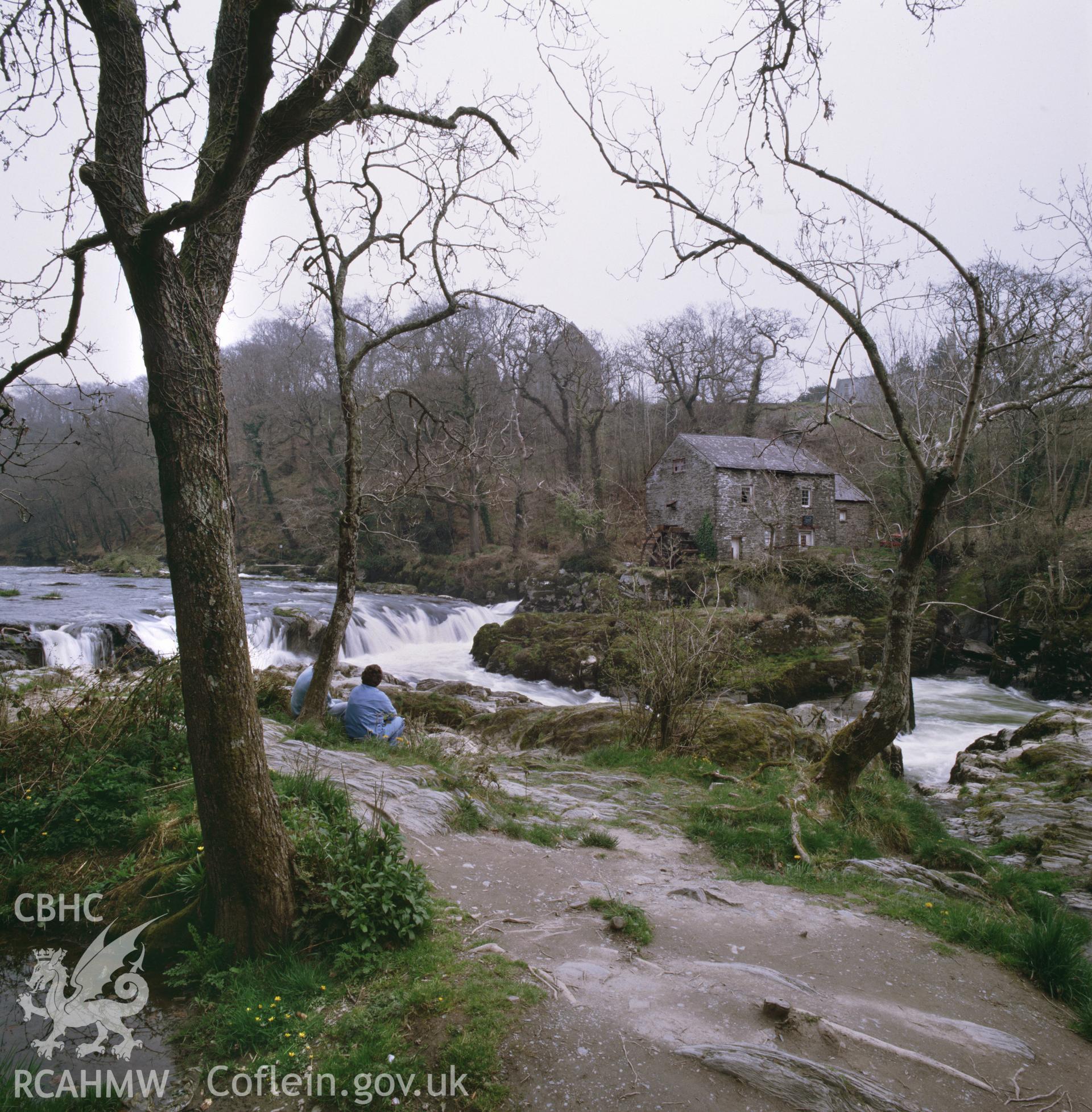 RCAHMW colour transparency showing view of Cenarth Mill, taken by RCAHMW, circa 1986