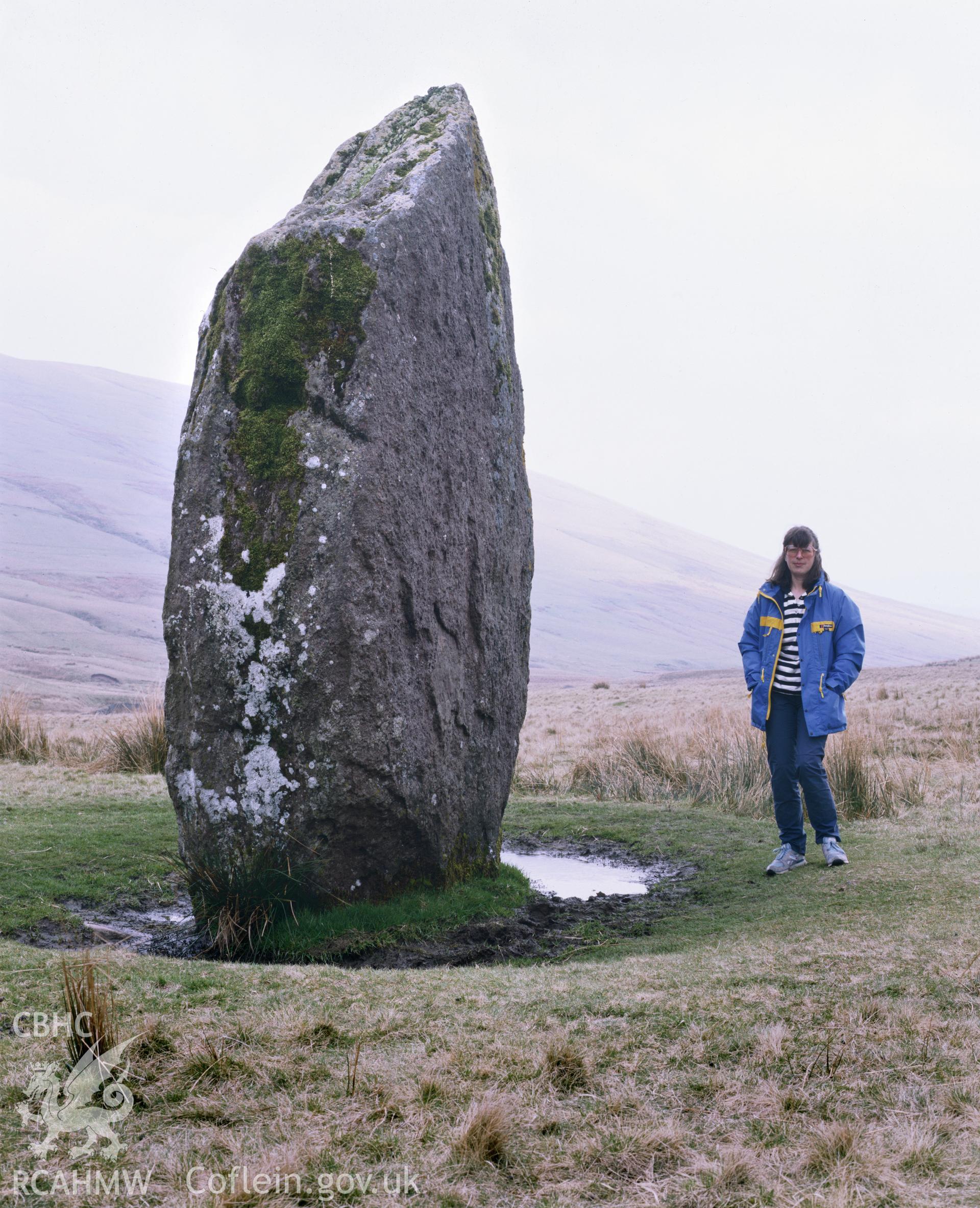Colour transparency showing a view of Maen Llia Standing Stone Alignment, Maescar, produced by Iain Wright, c.1981.