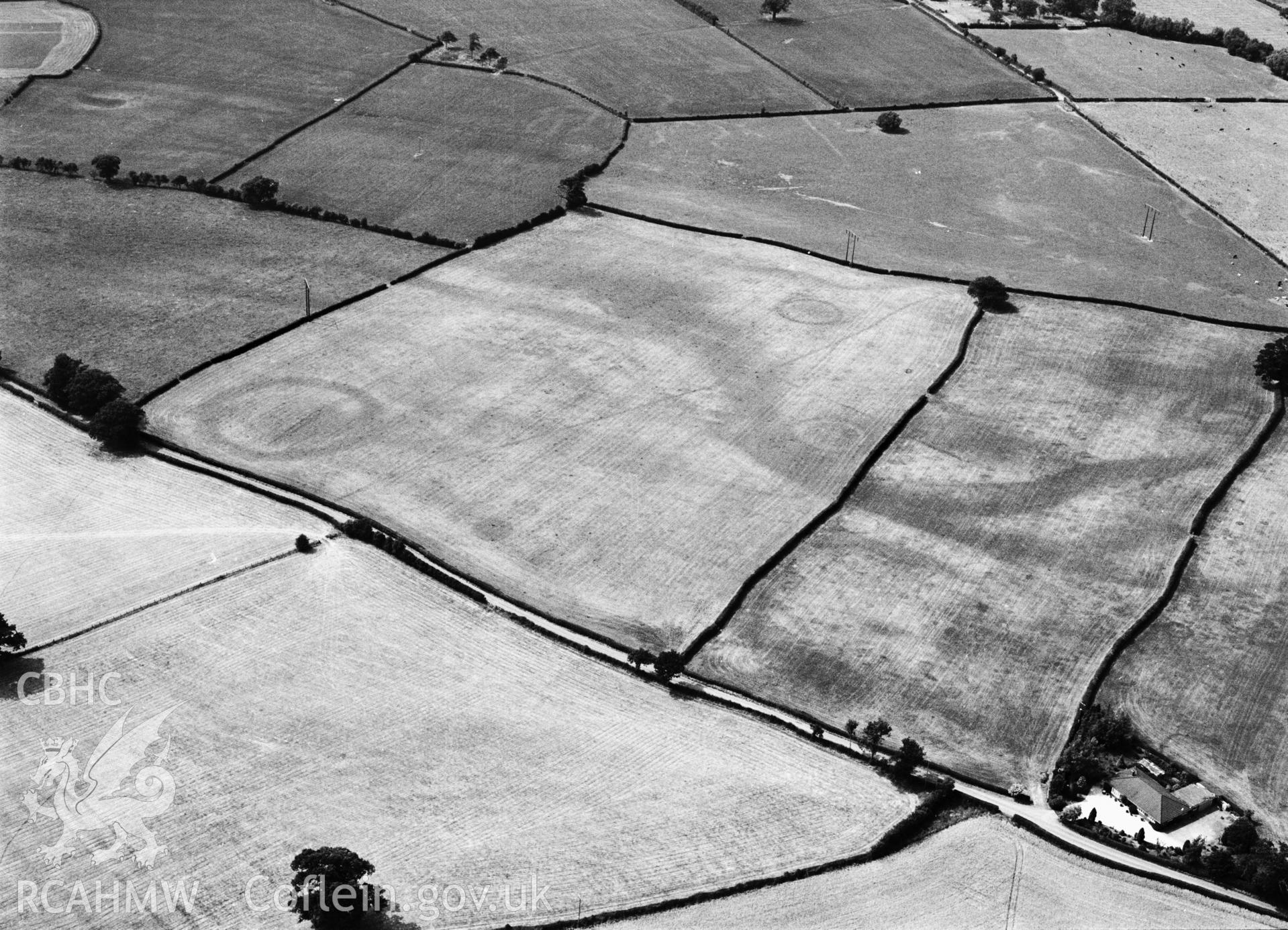 RCAHMW black and white oblique aerial photograph of Dyffryn Lane Barrow, Berriew, taken by C R Musson 1995