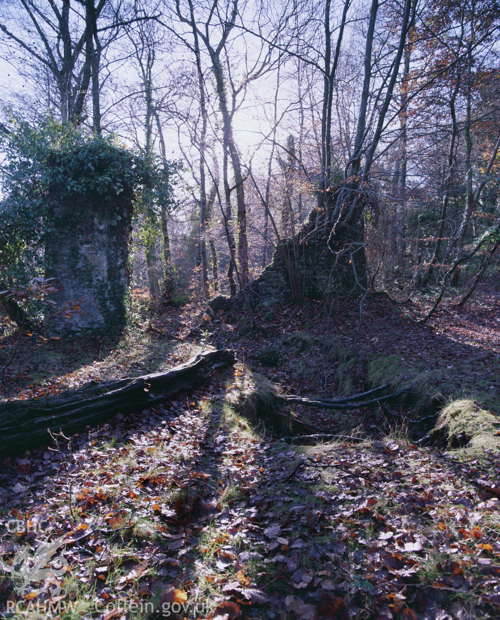 RCAHMW colour transparency showing the remains of Clyne Valley Arsenic Works, taken by Iain Wright, c.1981