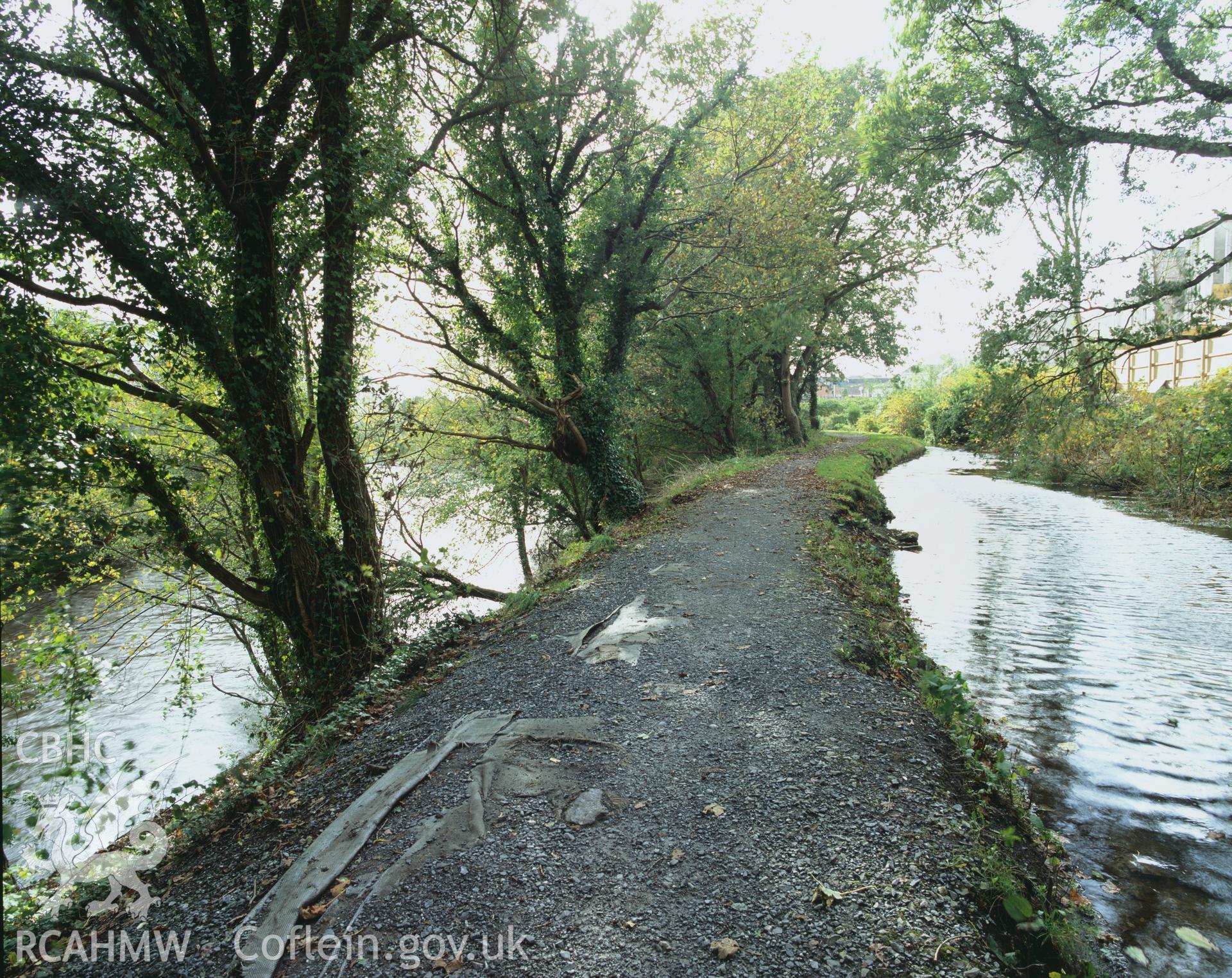 Colour transparency showing  view of a raised embankment at Trebanws, part of Swansea Canal, produced by Iain Wright, October 2005.