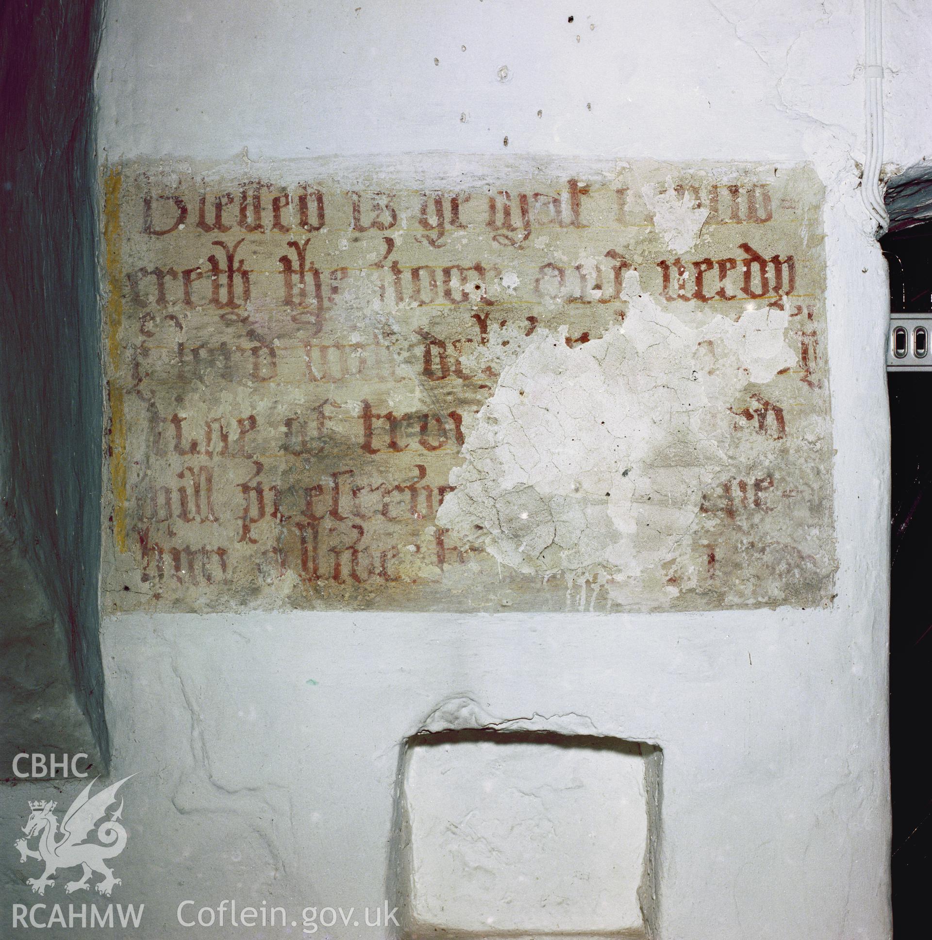 RCAHMW colour negative of colour transparency (reference number 862078), showing wallpainting at Eglwys Brewis Church, taken by Iain Wright, 2003