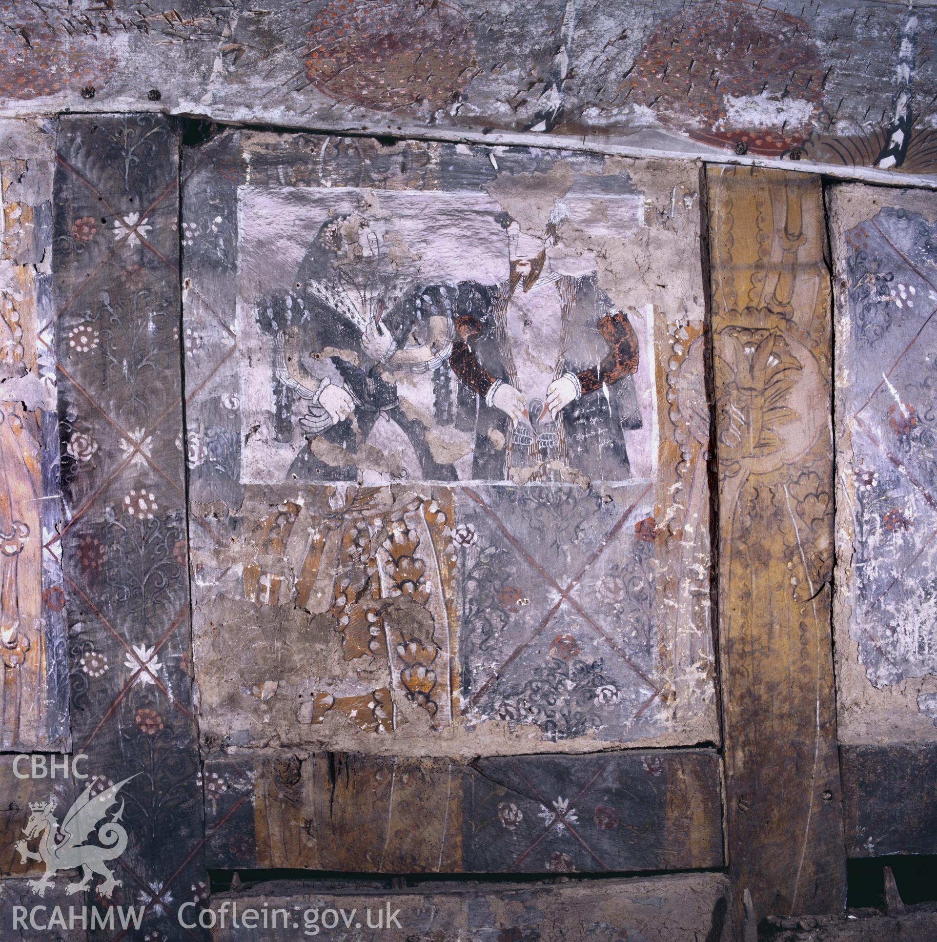 RCAHMW colour transparency showing wallpainting at Althrey Hall, taken by Iain Wright, 2003