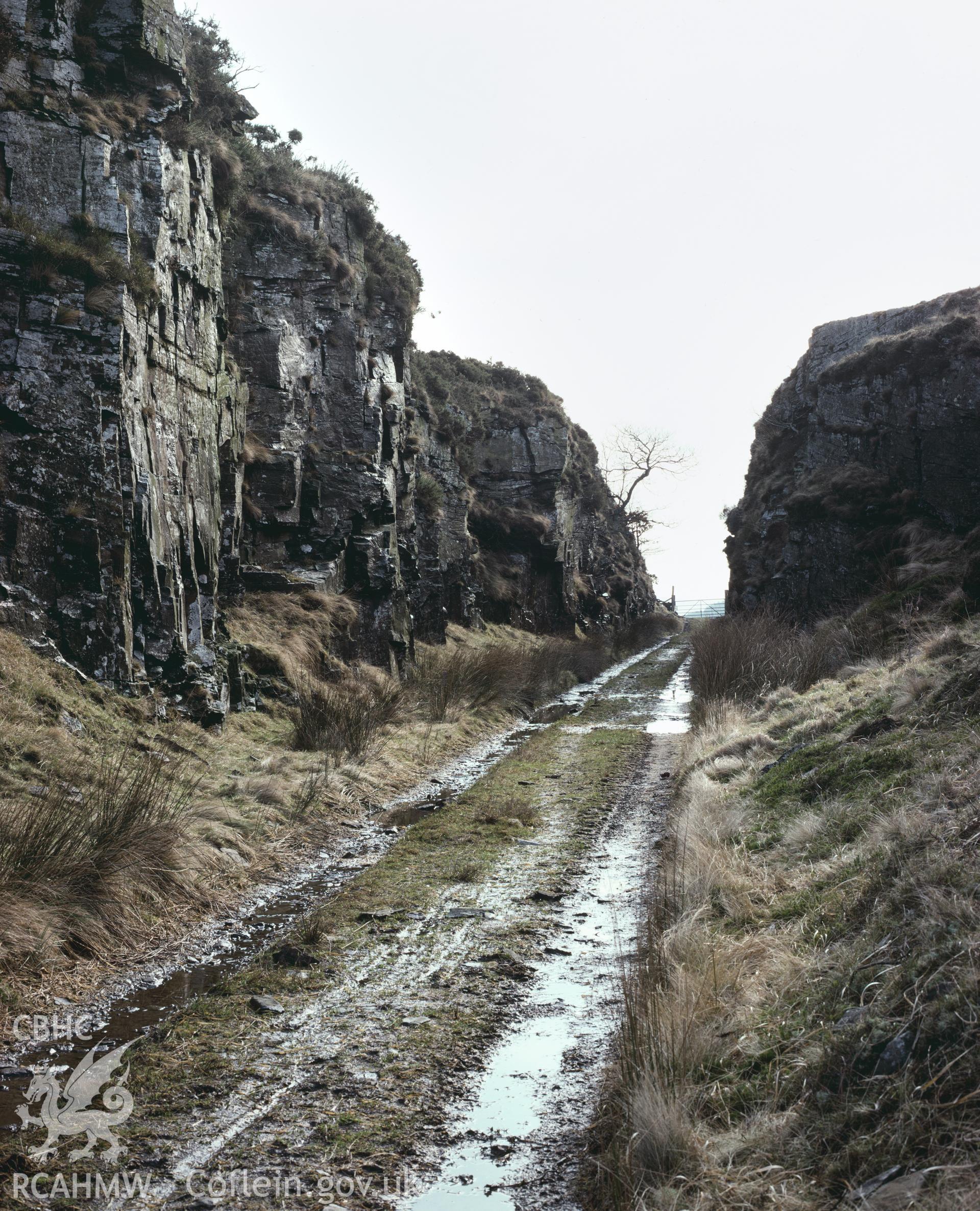 RCAHMW colour transparency showing the Glyncorrwg Railway Cutting at Parsons Folly, taken by Iain Wright, c.1981