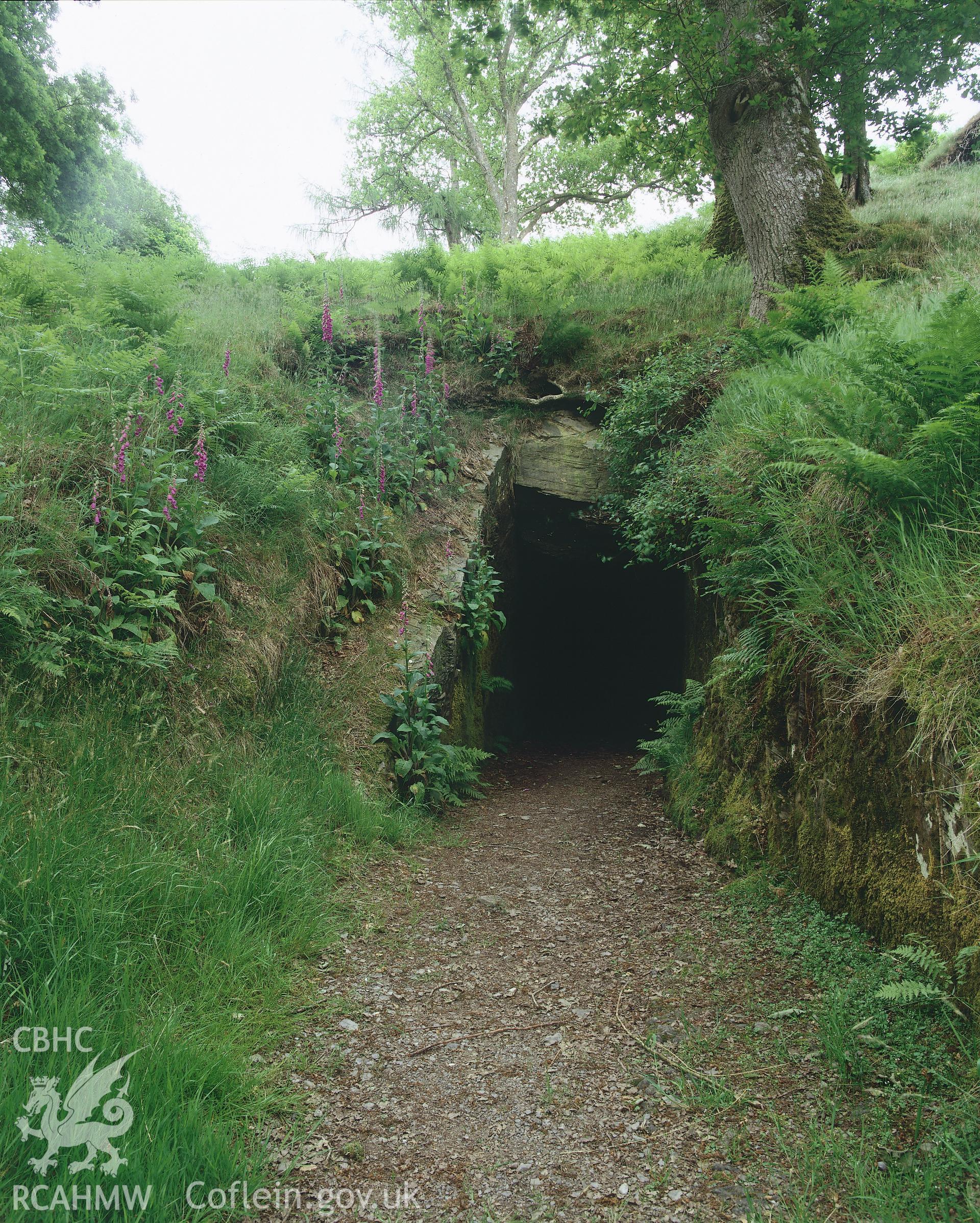 RCAHMW colour transparency showing the entrance to Dolaucothi Goldmine.