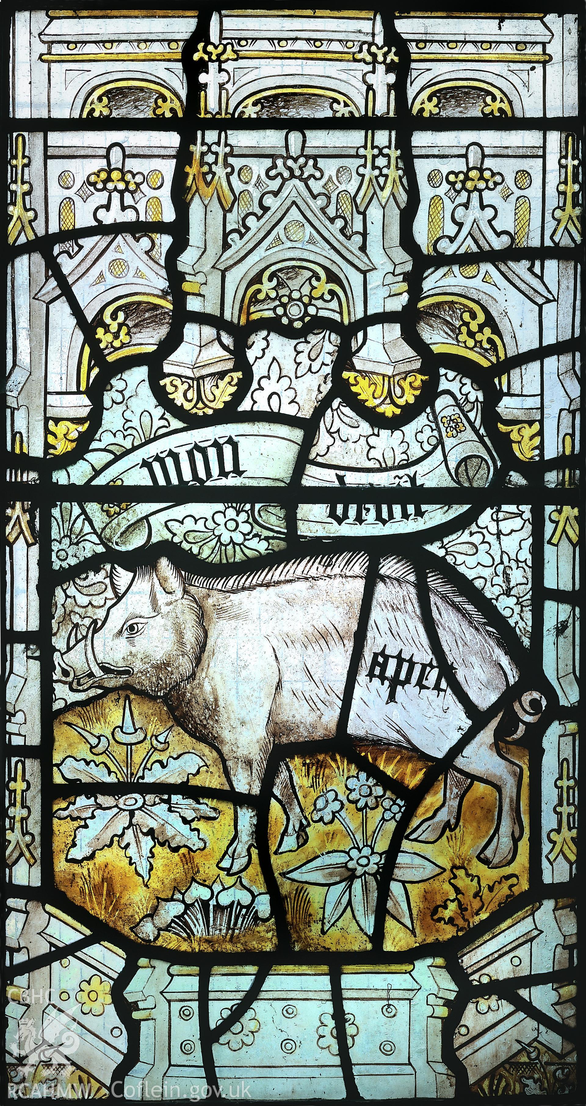 RCAHMW colour transparency of a stained glass window in  Nercwys Church, depicting a boar.