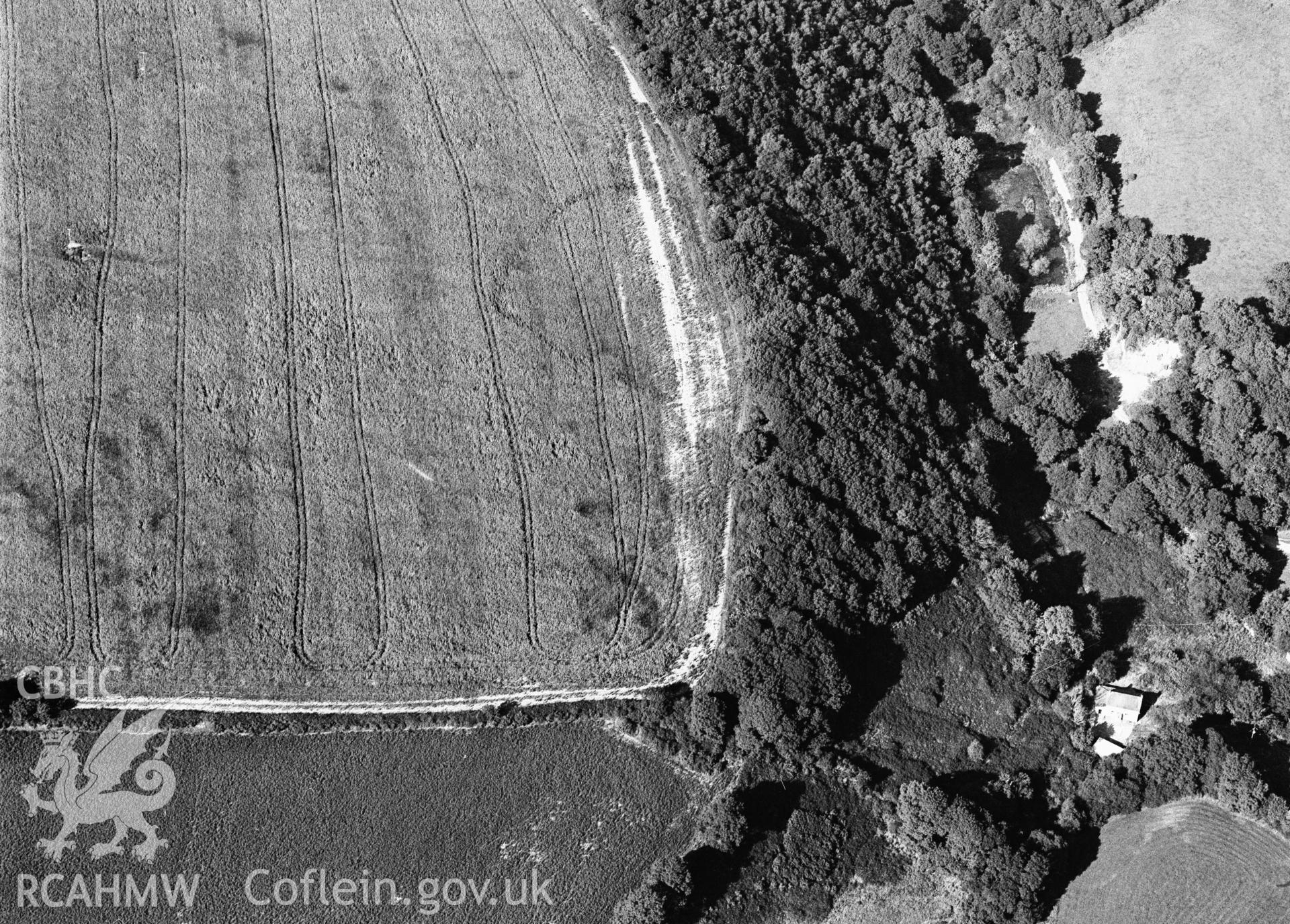 RCAHMW black and white oblique aerial photograph of cropmarks at Mwnt, taken 1989.