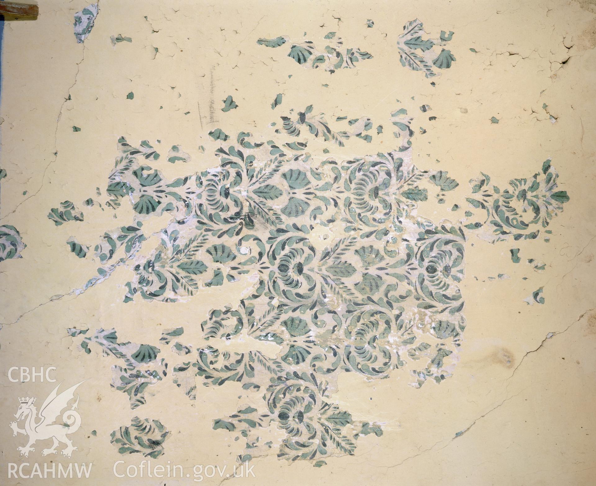 RCAHMW colour transparency showing wallpainting at Pibwrllwyd.