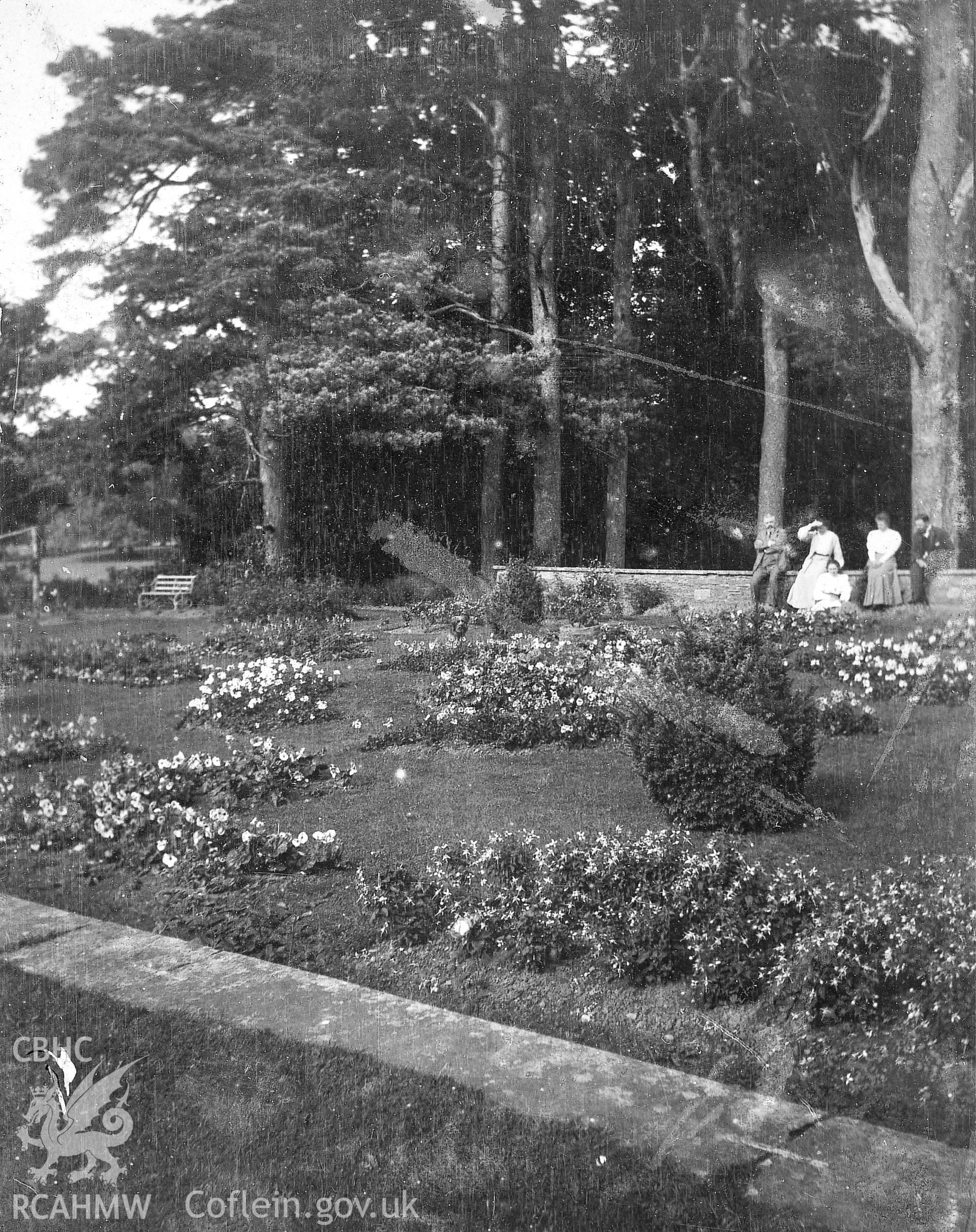 View of Llantilio Court Gardens, copied from an album of early photographs loaned by Mrs Joanna Graham, via Thomas Lloyd.