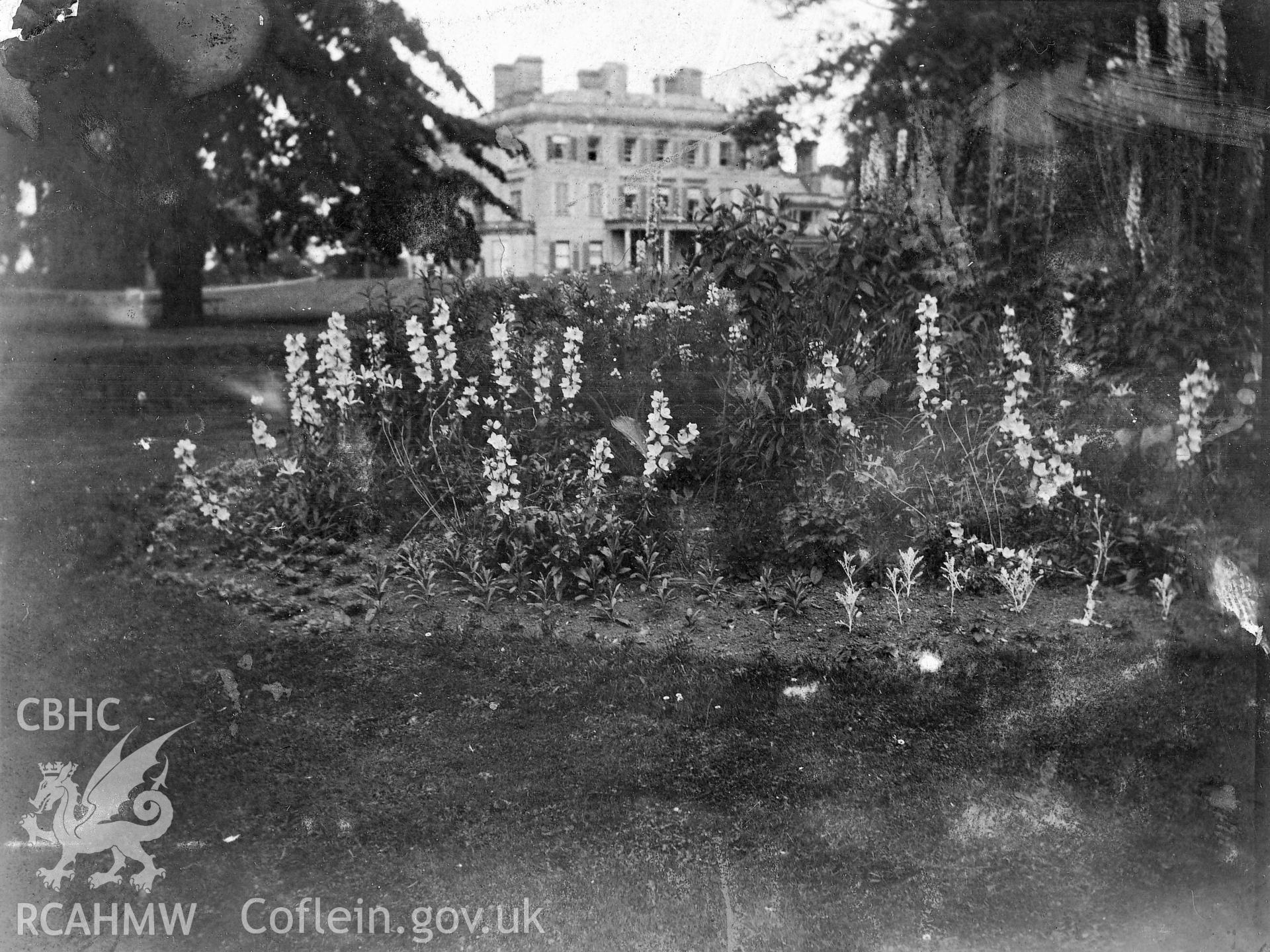 View of Llantilio Court from the gardens, copied from an album of early photographs loaned by Mrs Joanna Graham, via Thomas Lloyd.