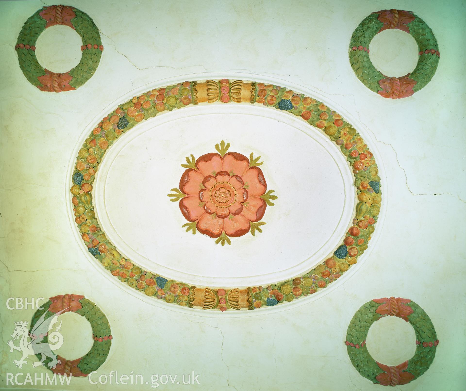 RCAHMW colour transparency of the decorated ceiling at the Kings Head, Monmouth.