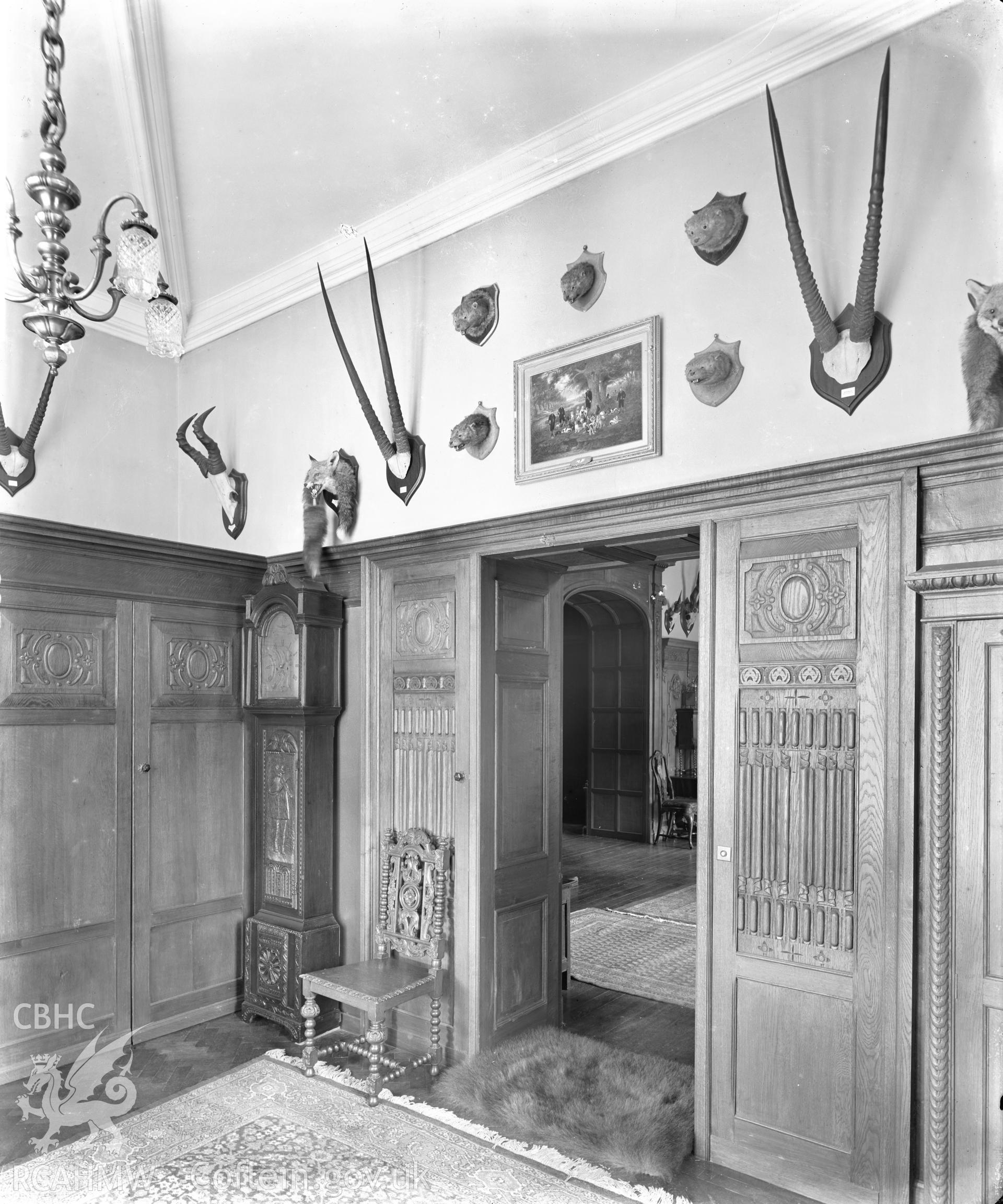 Outsize glass plate negative showing Coomb House.