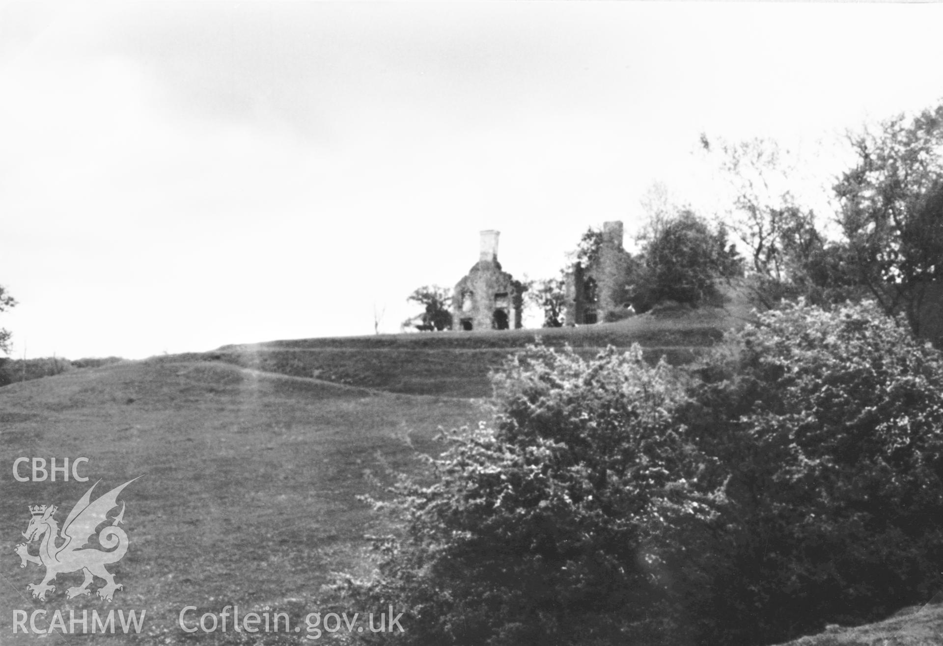Copy of b/w photo of Llwynwormwood, Myddfai, showing the grounds were once finely terraced with drives sweeping across the park. Copied from original loaned by Thomas Lloyd. Copy negative held.