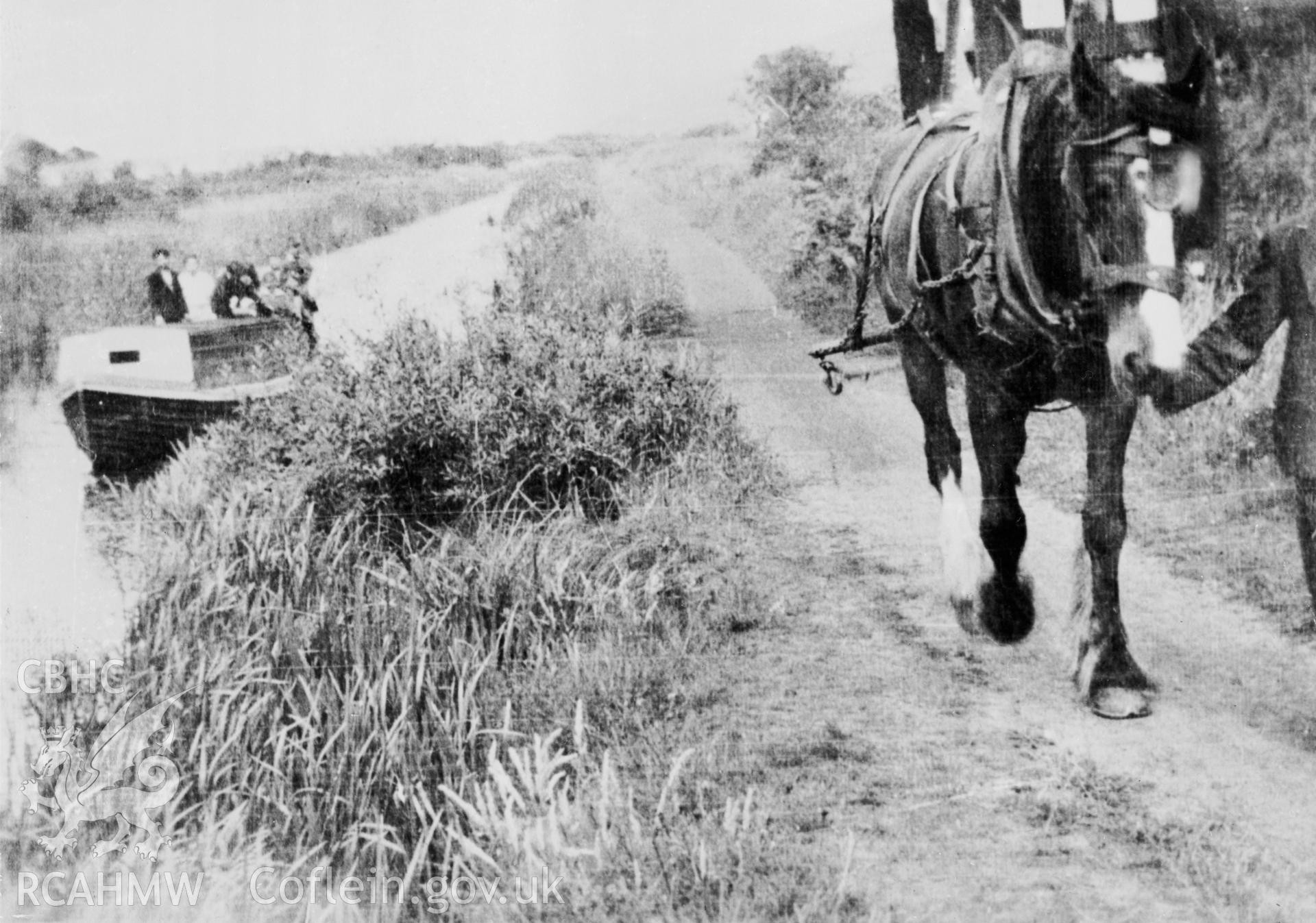 Digitized image of a negative showing a 1937 view of Rattler pulling a group of children along theTennant Canal.