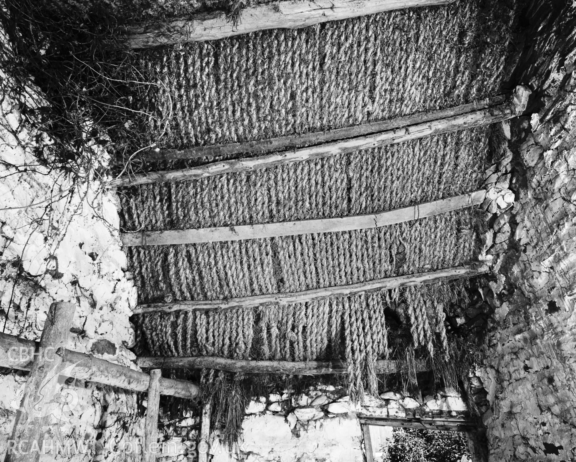 Internal view of roof