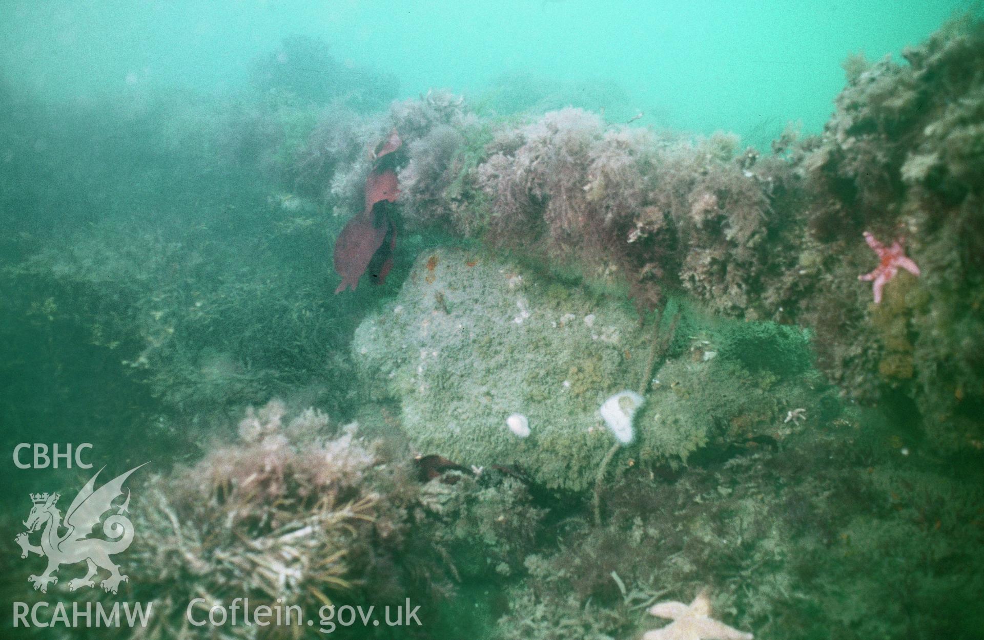 View of anchor stock and ring, one of a set of 41 colour slides from an underwater survey of the Tal-y-Bont designated shipwreck, carried out by the Archaeological Diving Unit.
